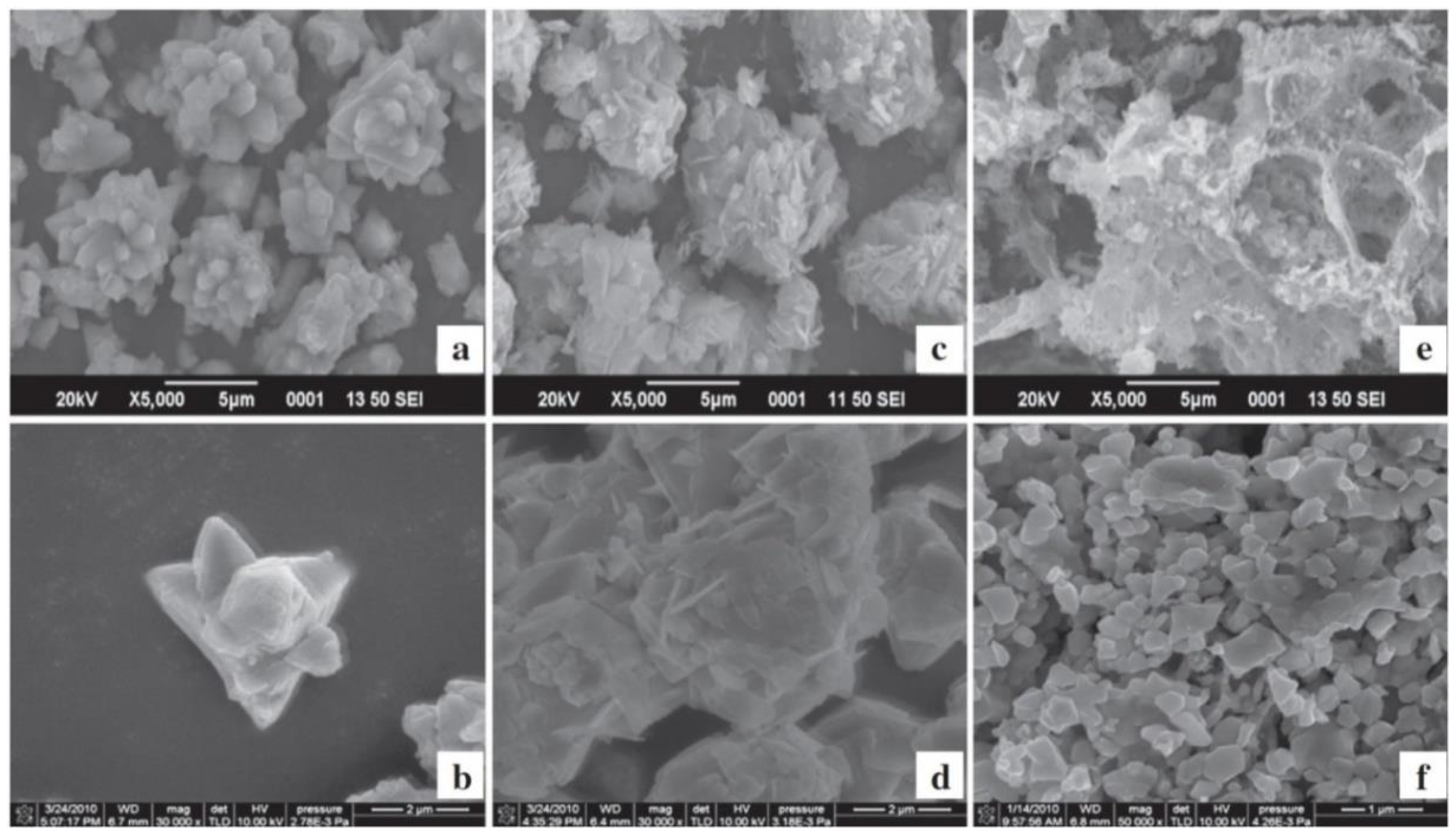 Nanomaterials 10 01086 g073