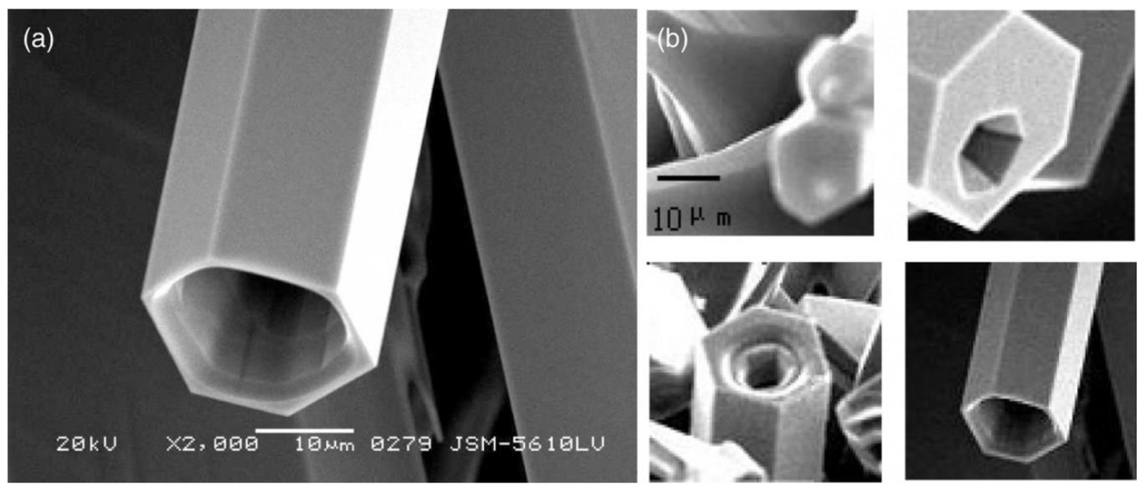 Nanomaterials 10 01086 g074