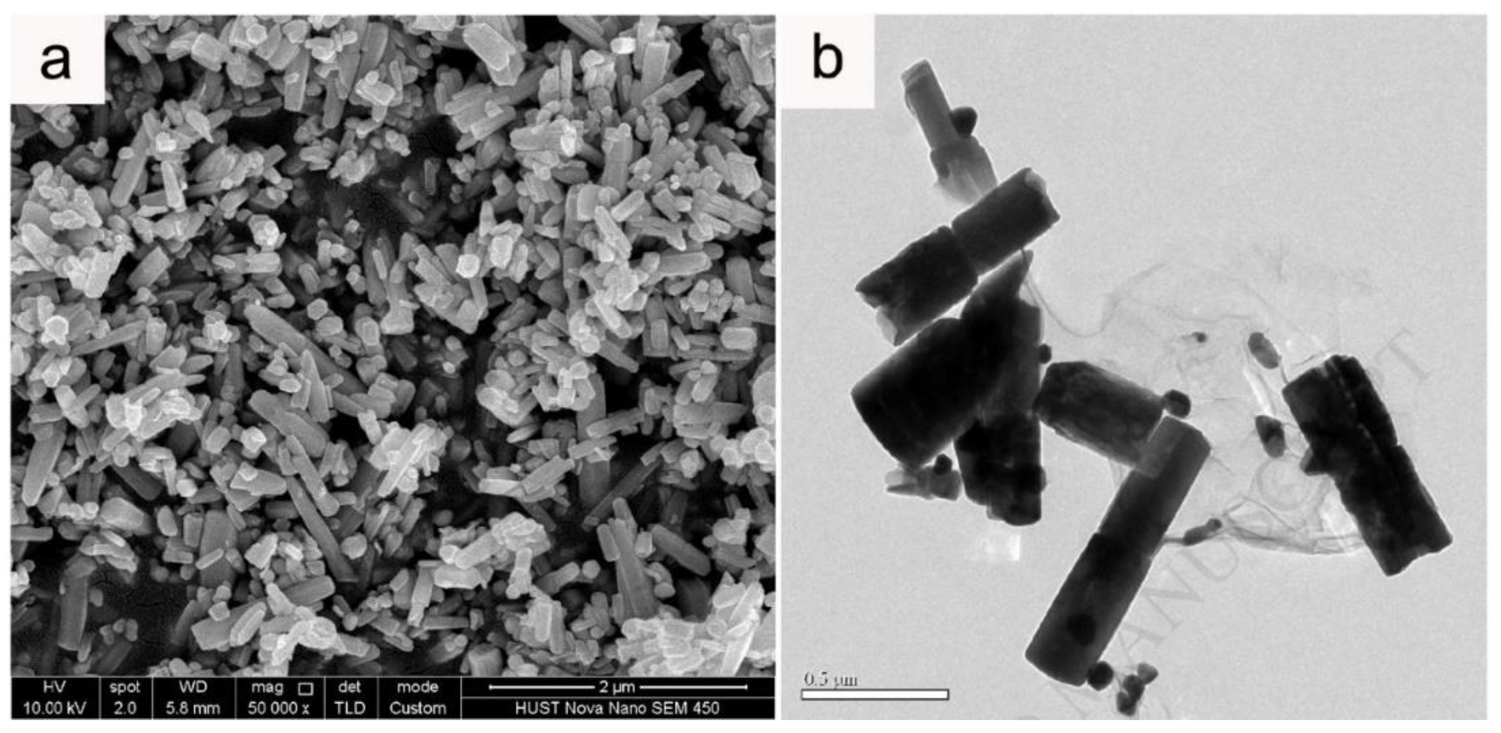 Nanomaterials 10 01086 g076