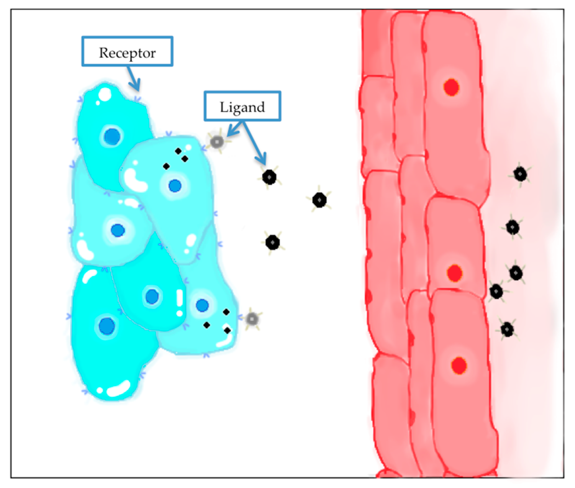 Nanomaterials 10 01403 g004