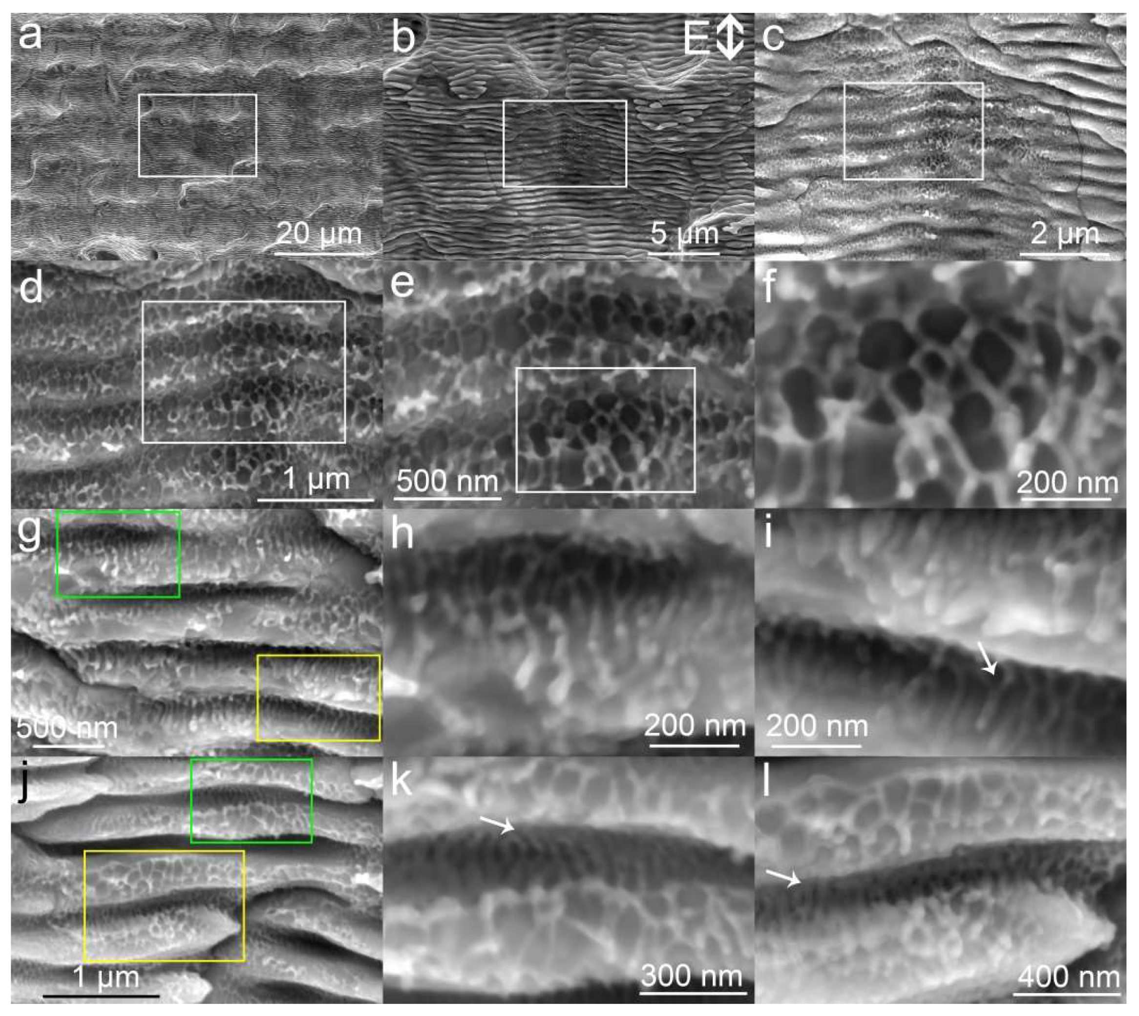 Nanomaterials 10 01573 g002