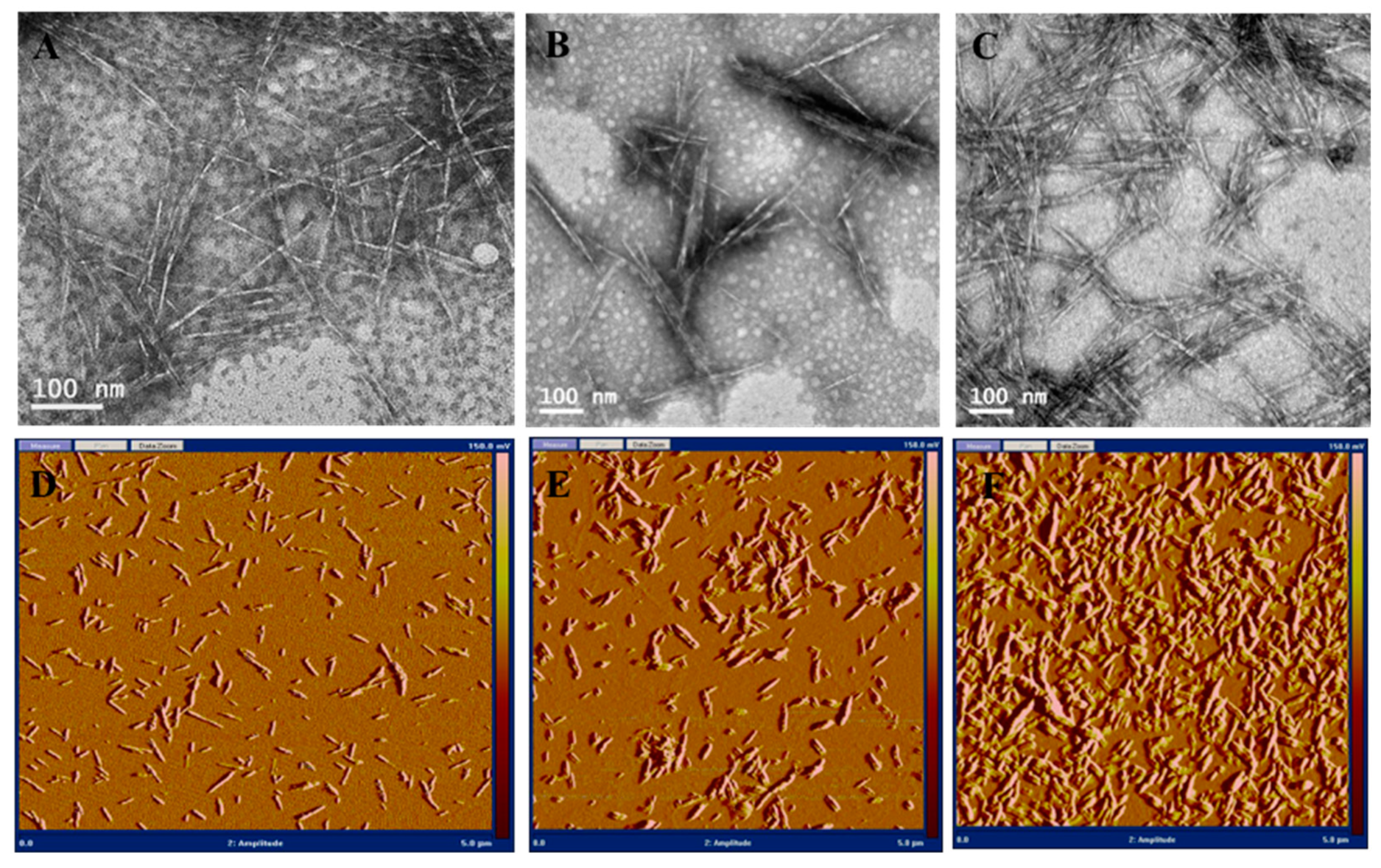 Nanomaterials 10 01603 g002