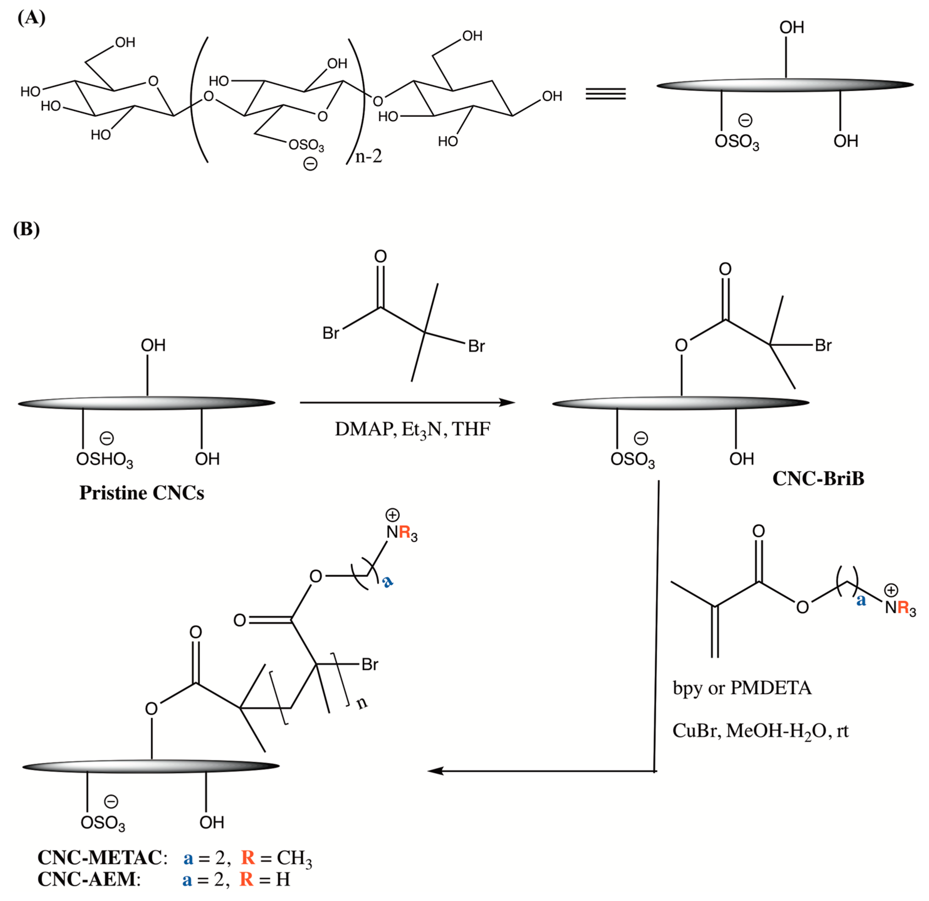 Nanomaterials 10 01603 sch001