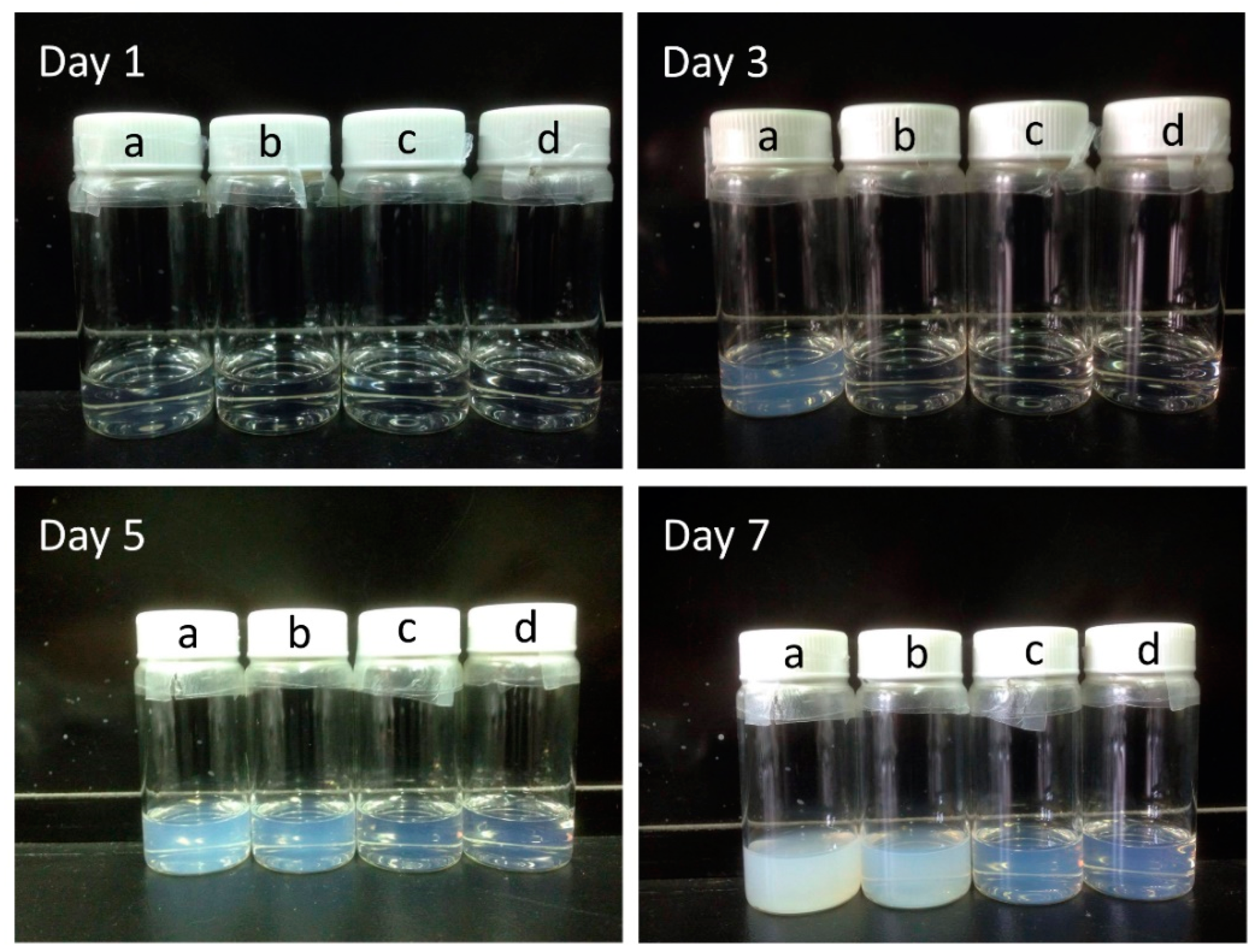 Nanomaterials 10 01753 g004