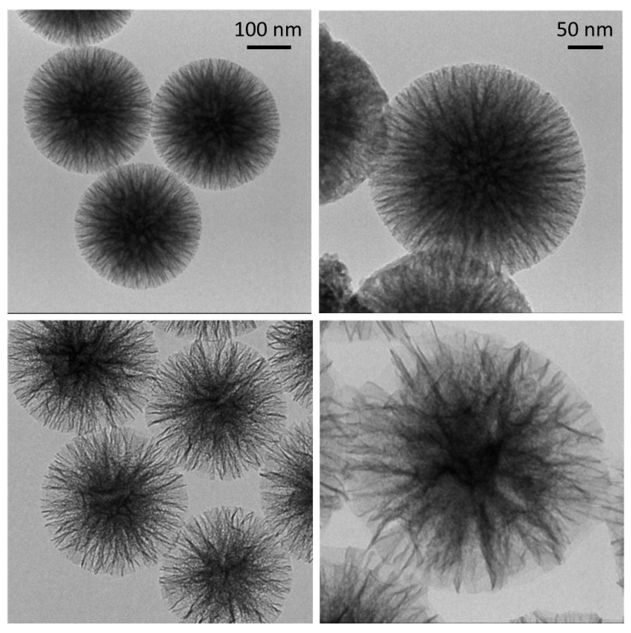 Nanomaterials 10 01799 g001