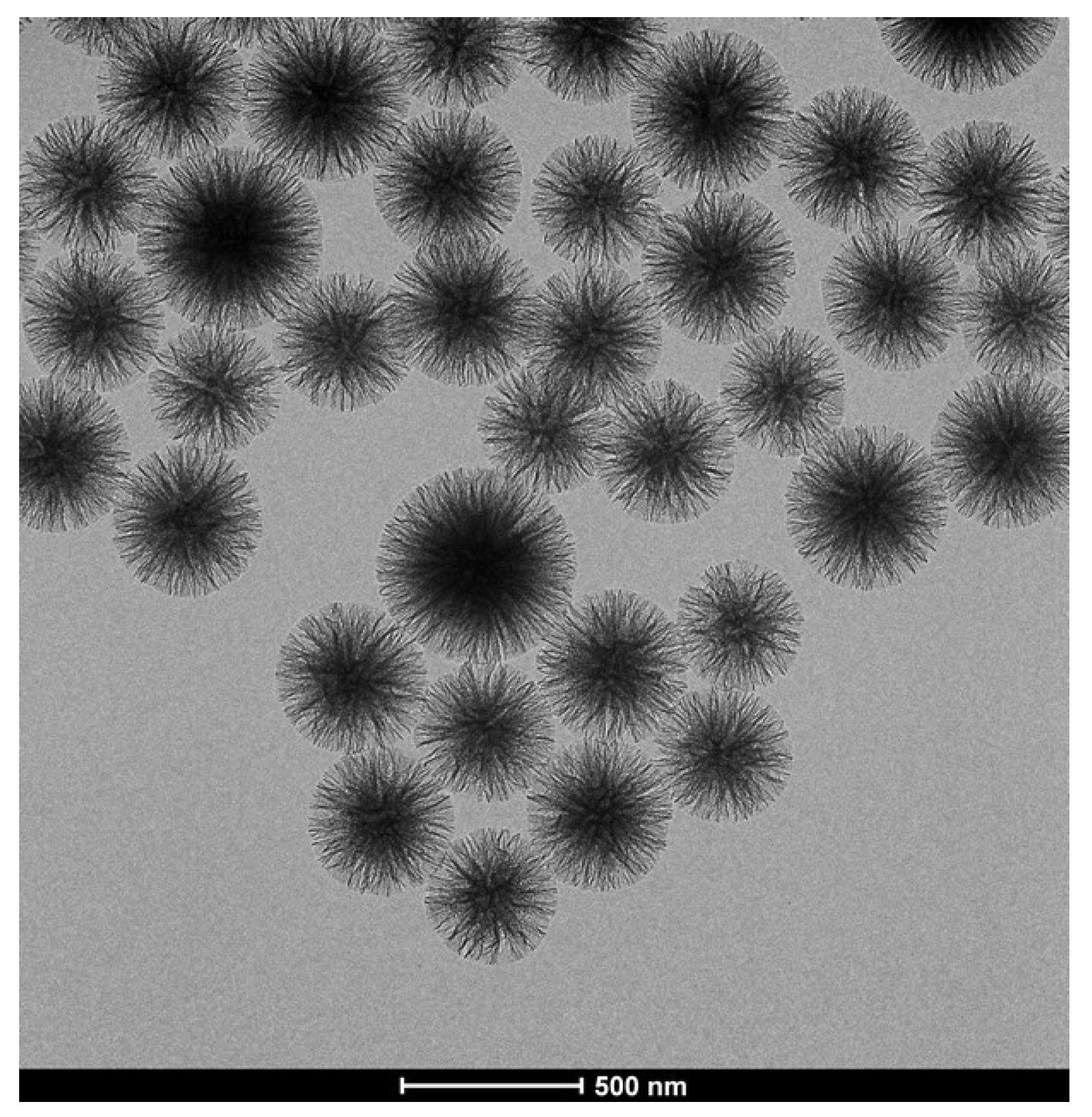 Nanomaterials 10 01799 g002