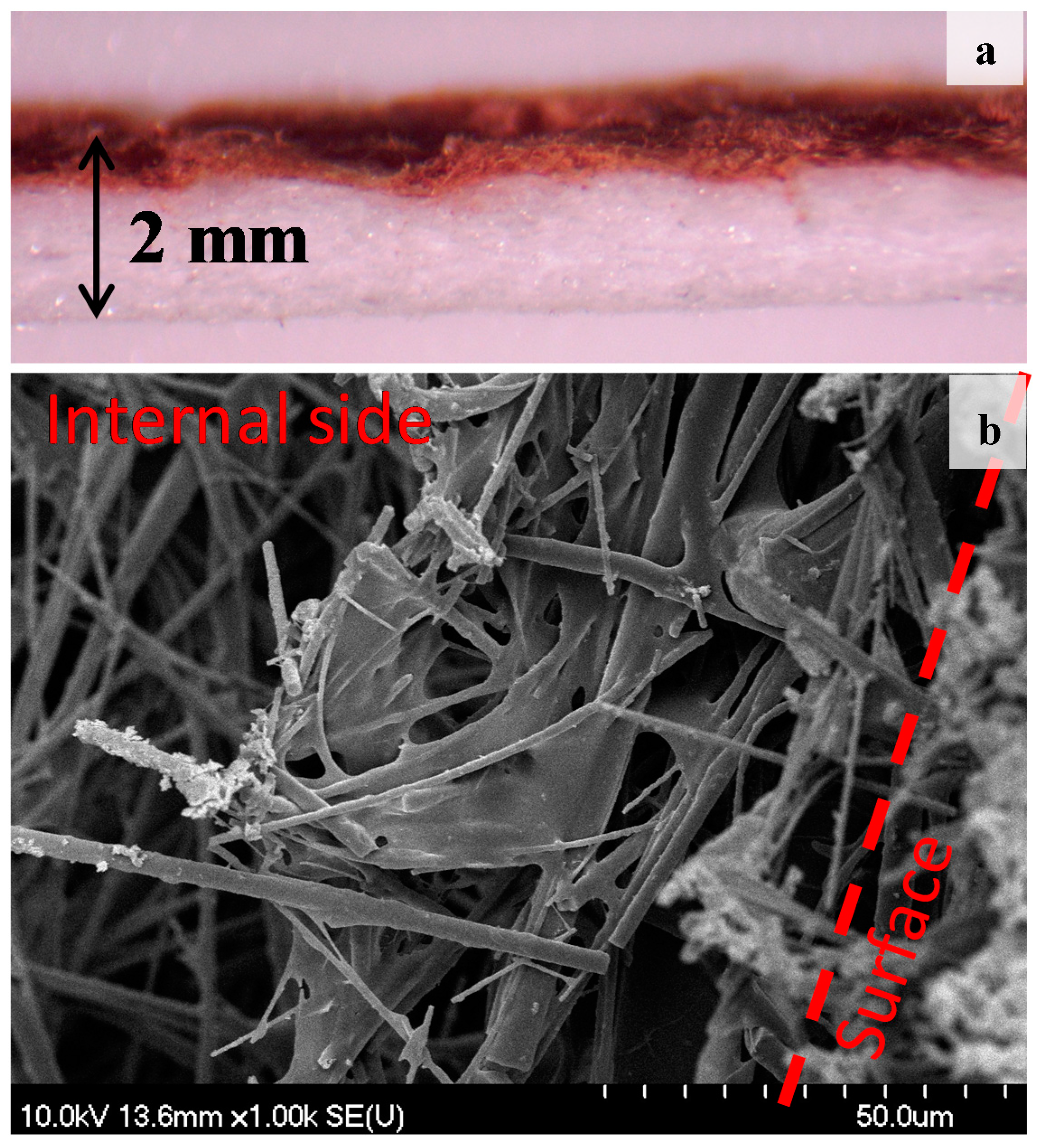 Nanomaterials 10 01959 g005