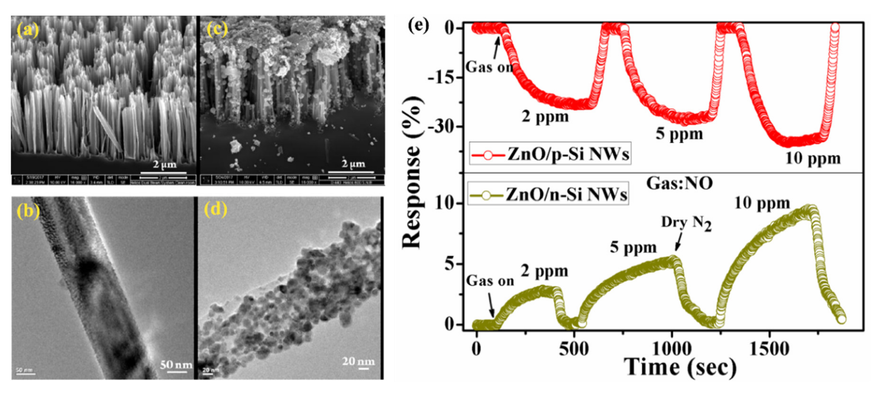 Nanomaterials 10 02215 g019
