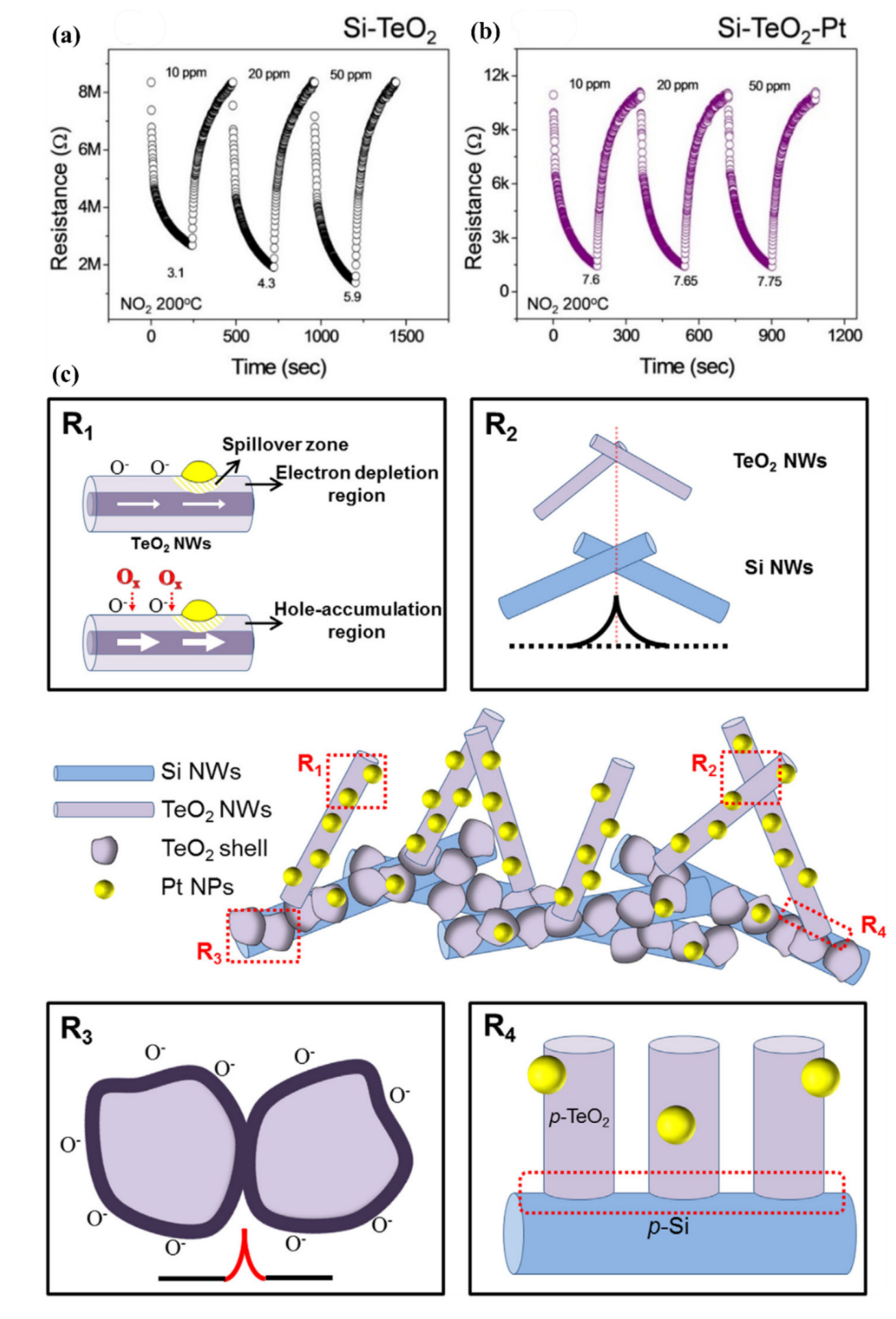 Nanomaterials 10 02215 g033