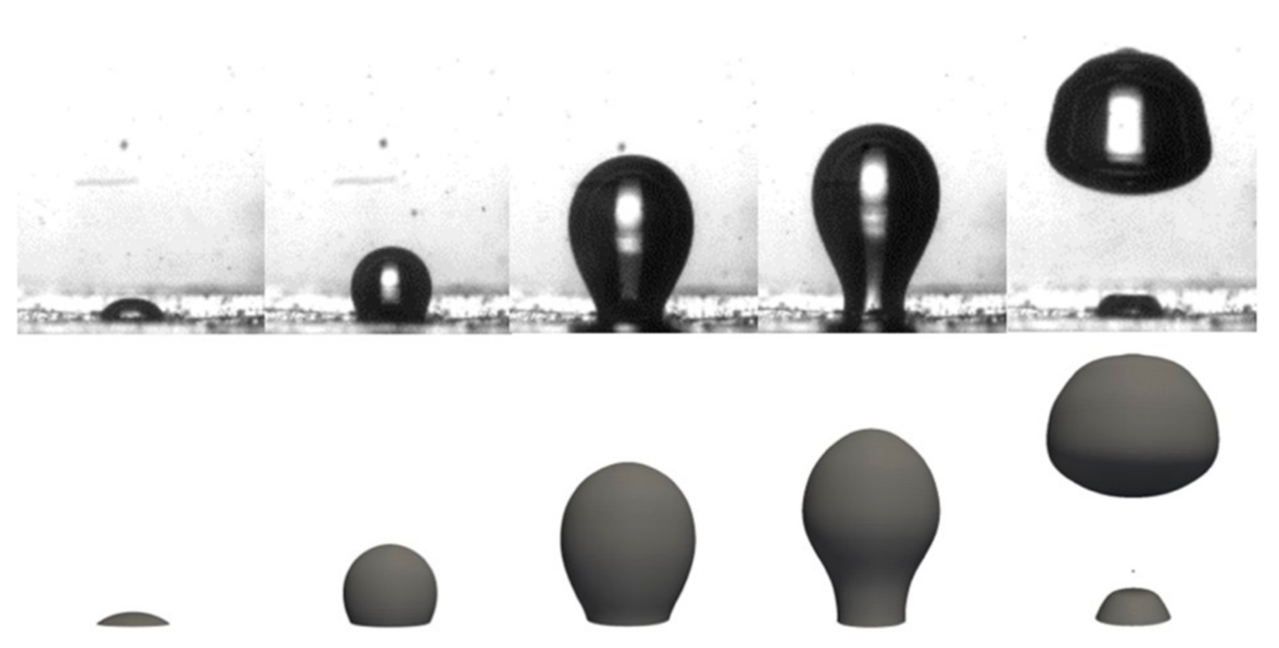 Nanomaterials 11 00125 g011
