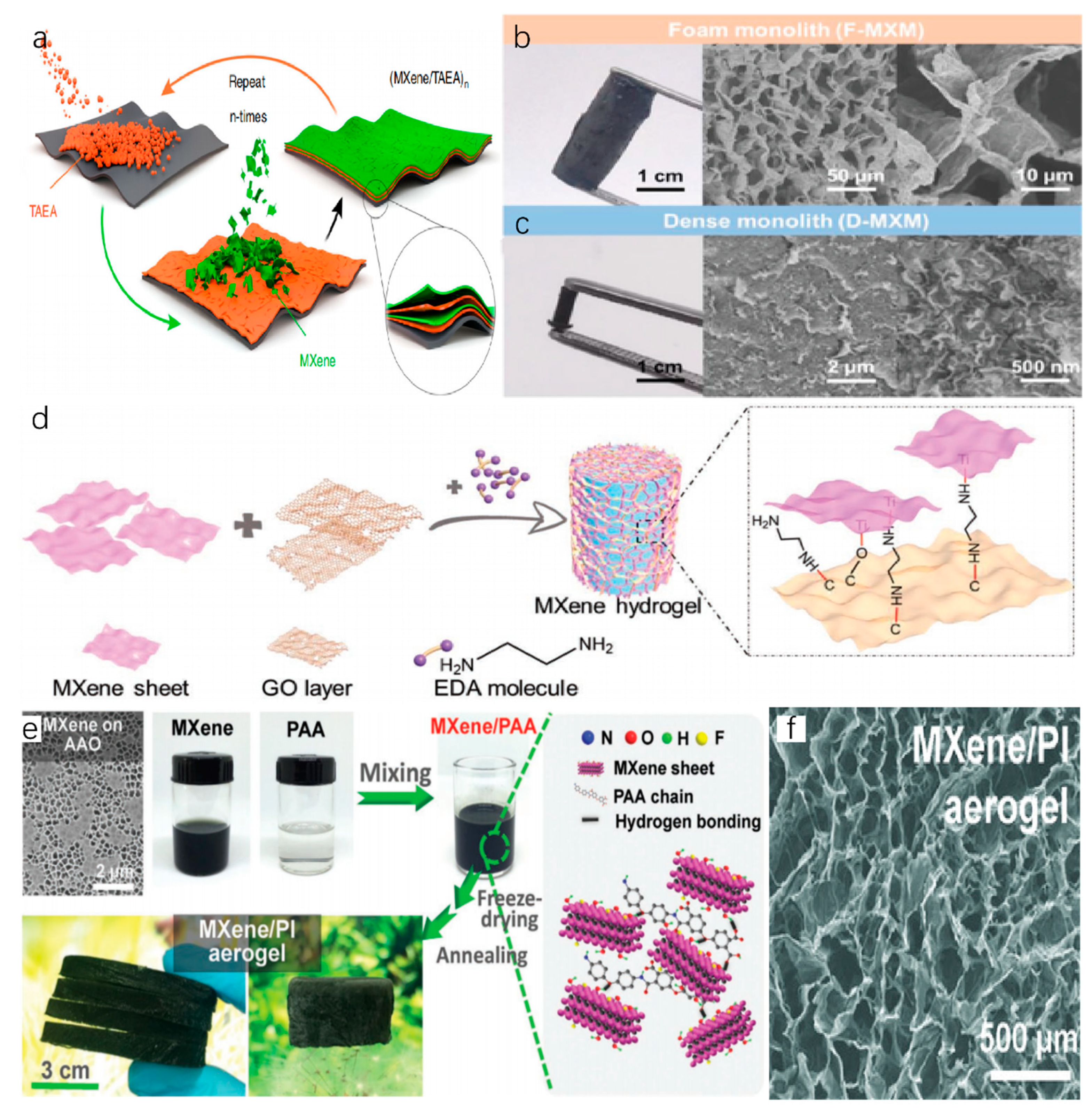 Nanomaterials 11 00246 g003
