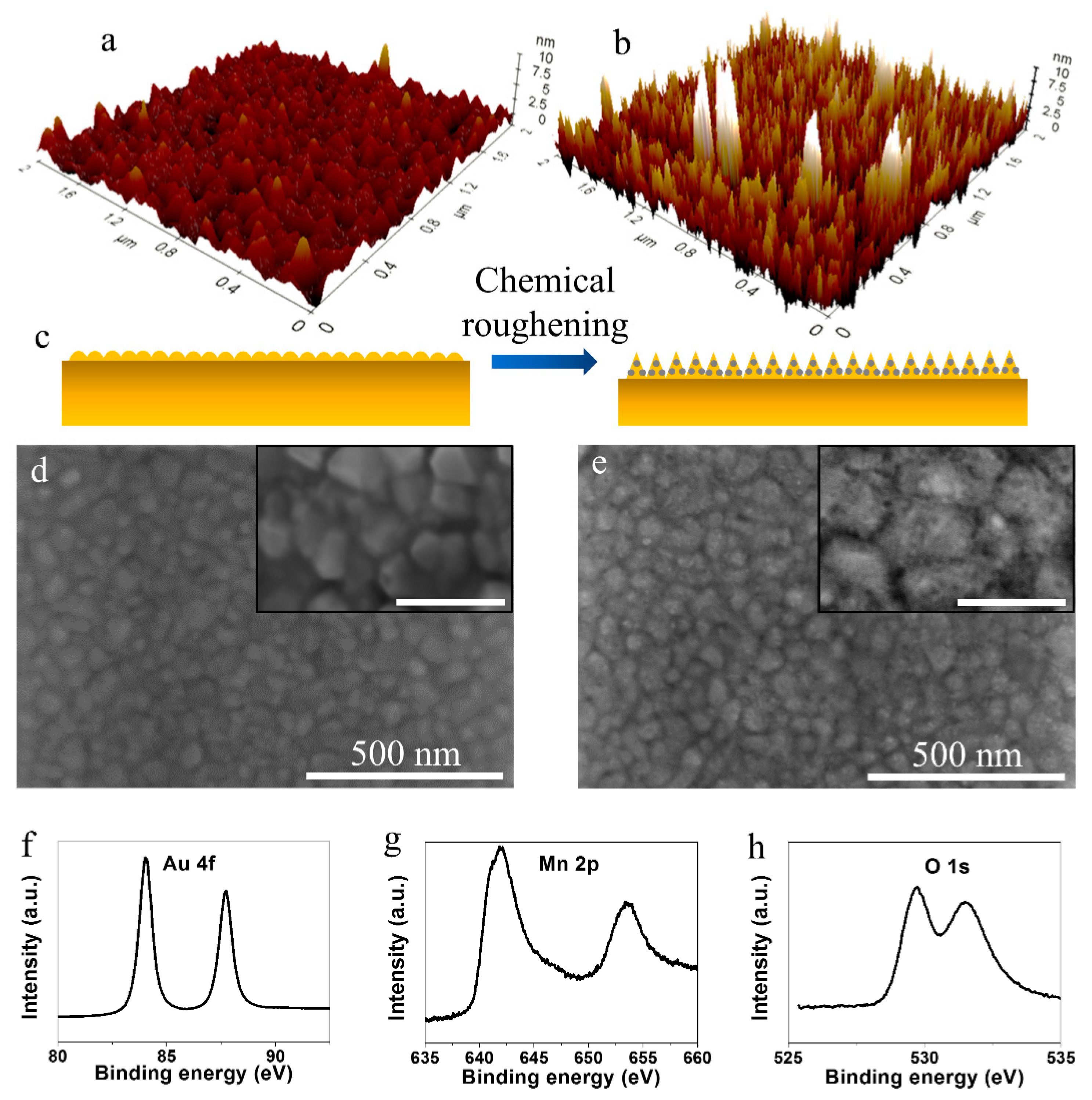 Nanomaterials 11 00257 g001