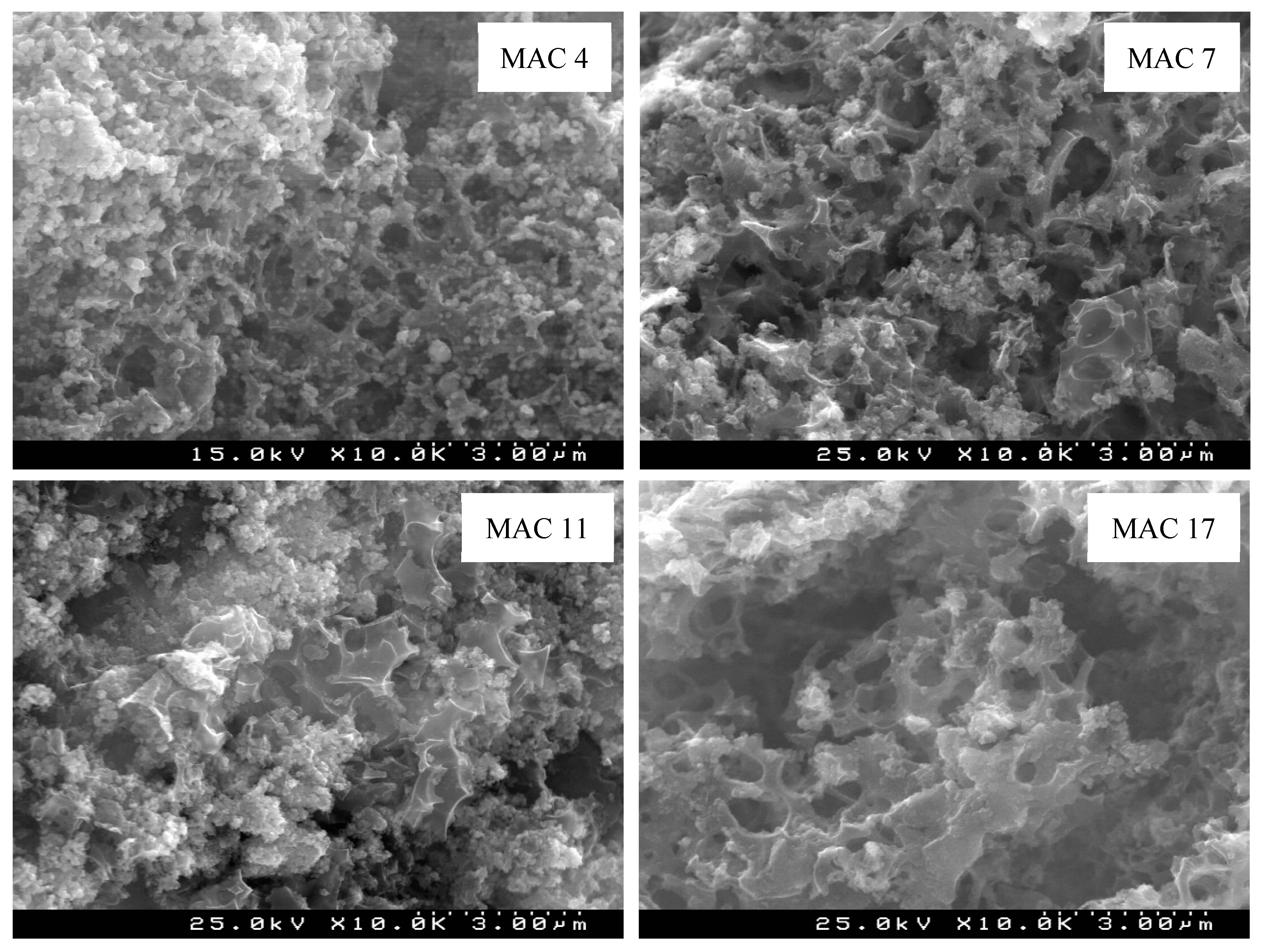 Nanomaterials 11 00287 g004