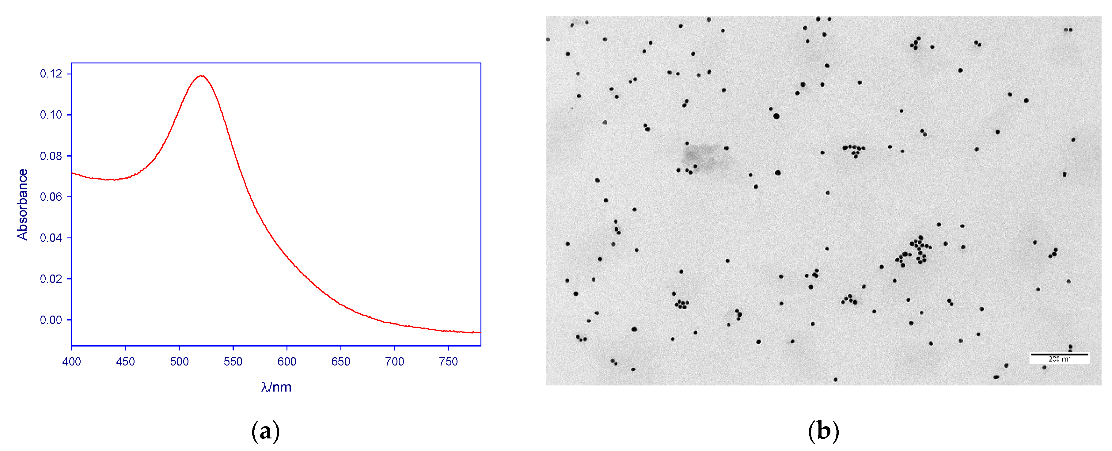 Nanomaterials 11 00612 g001