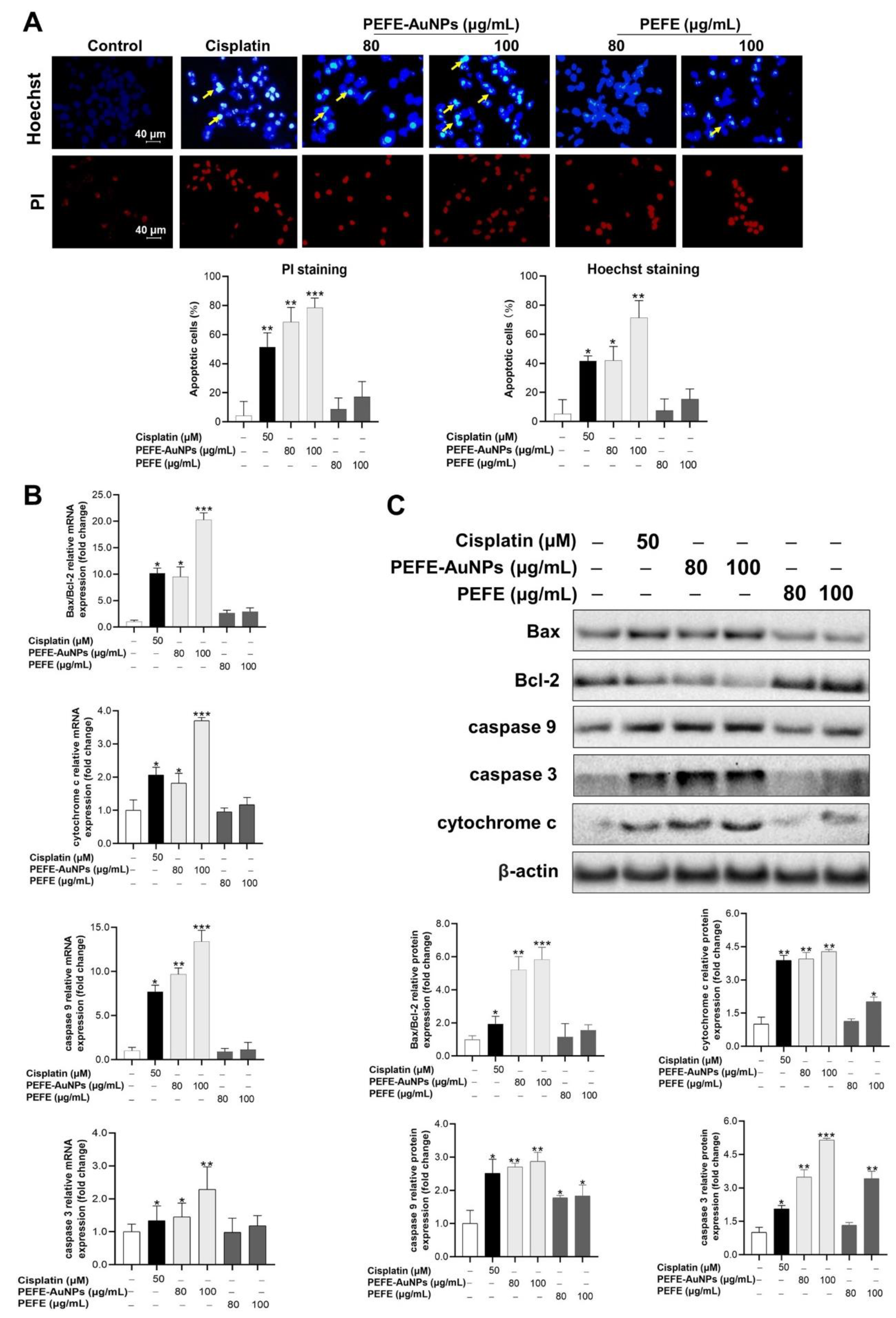 Nanomaterials 11 01260 g005