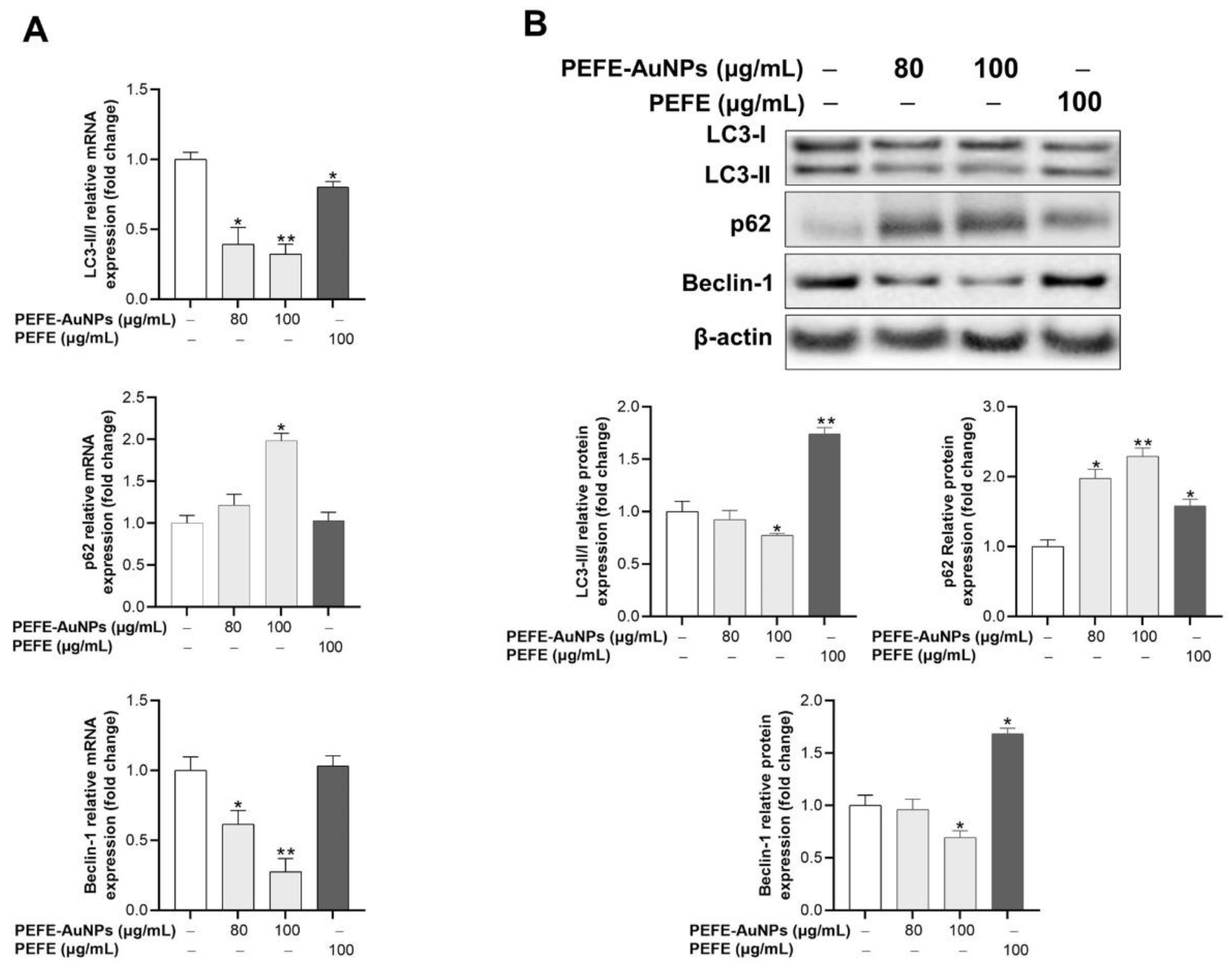 Nanomaterials 11 01260 g006