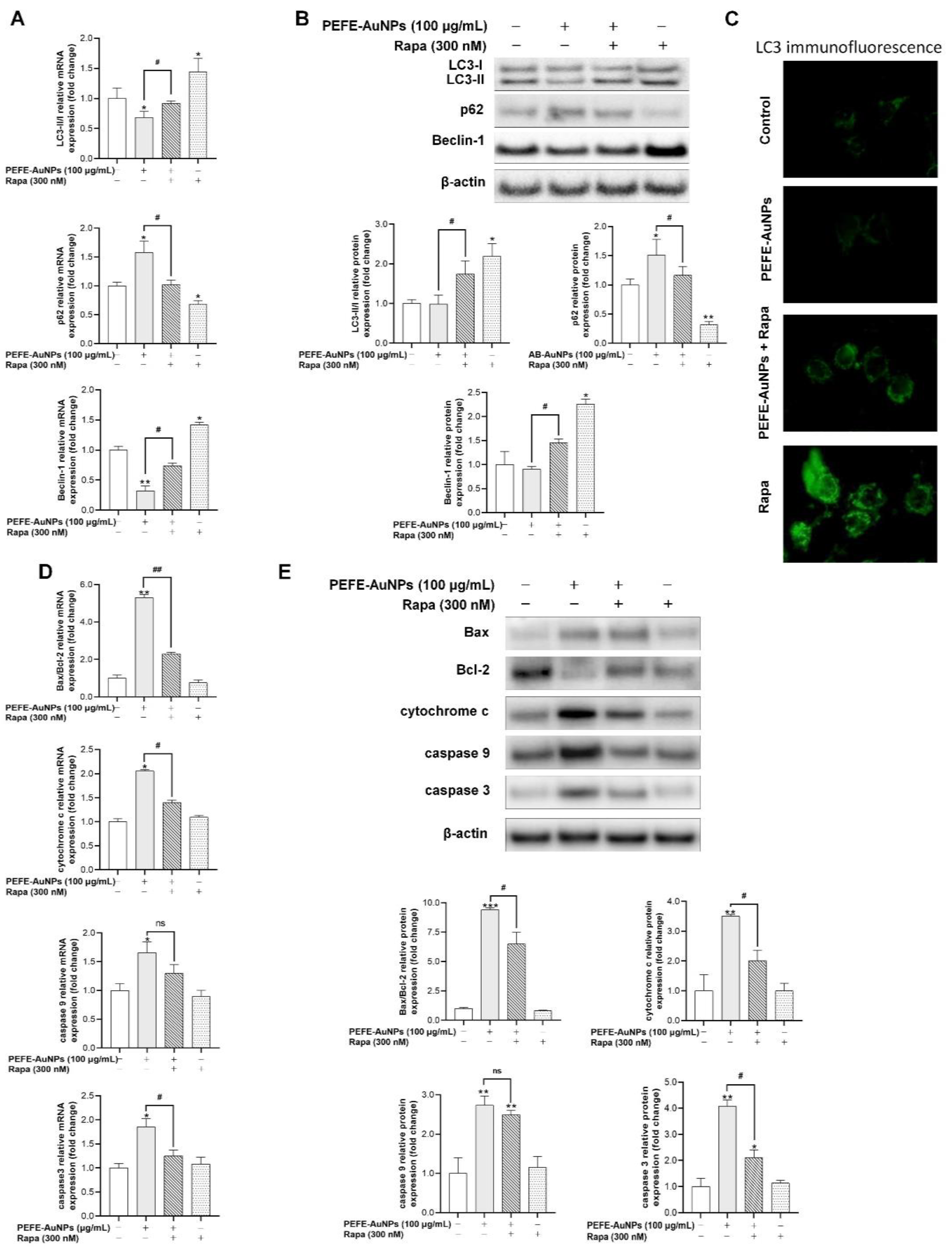 Nanomaterials 11 01260 g007