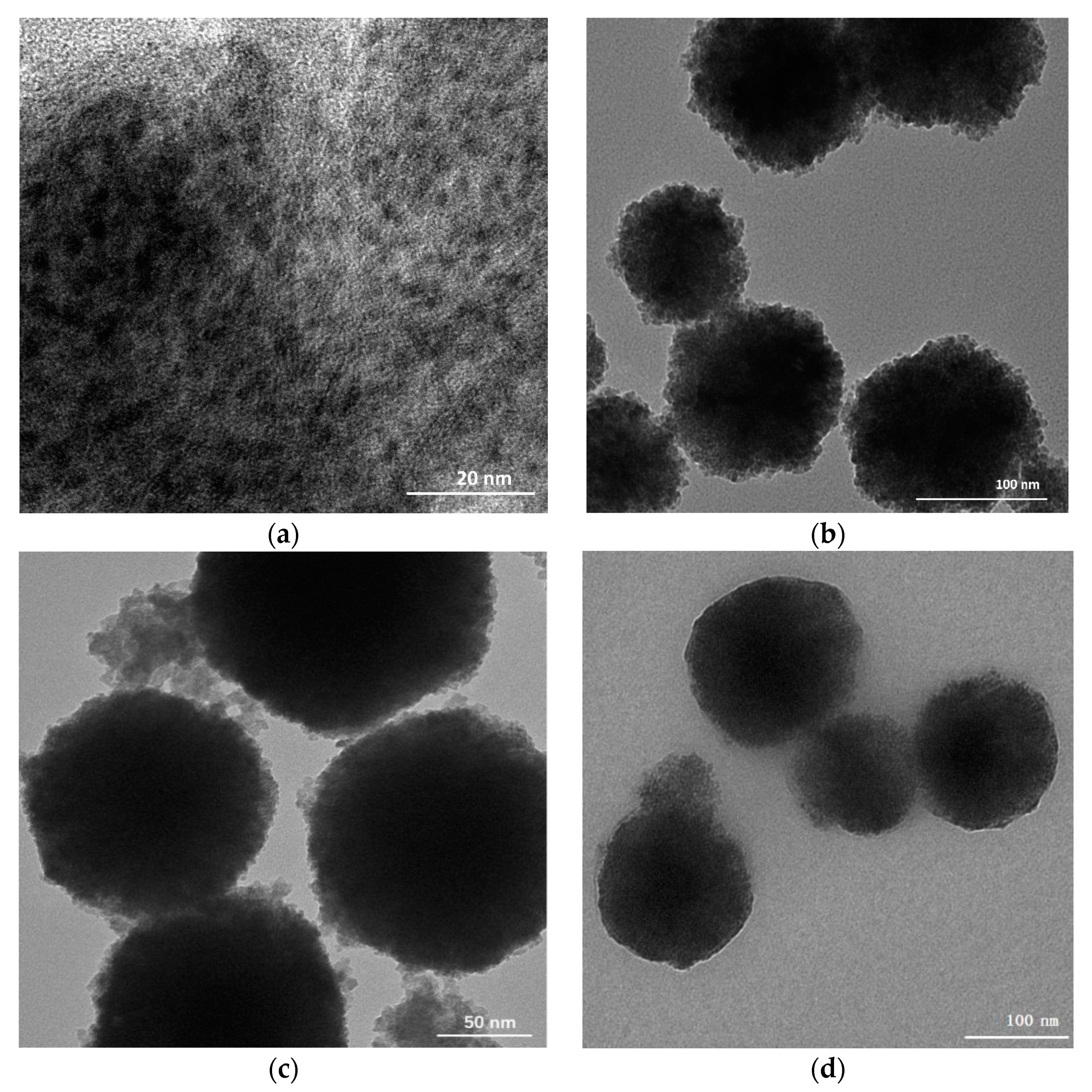 Nanomaterials 11 01575 g002