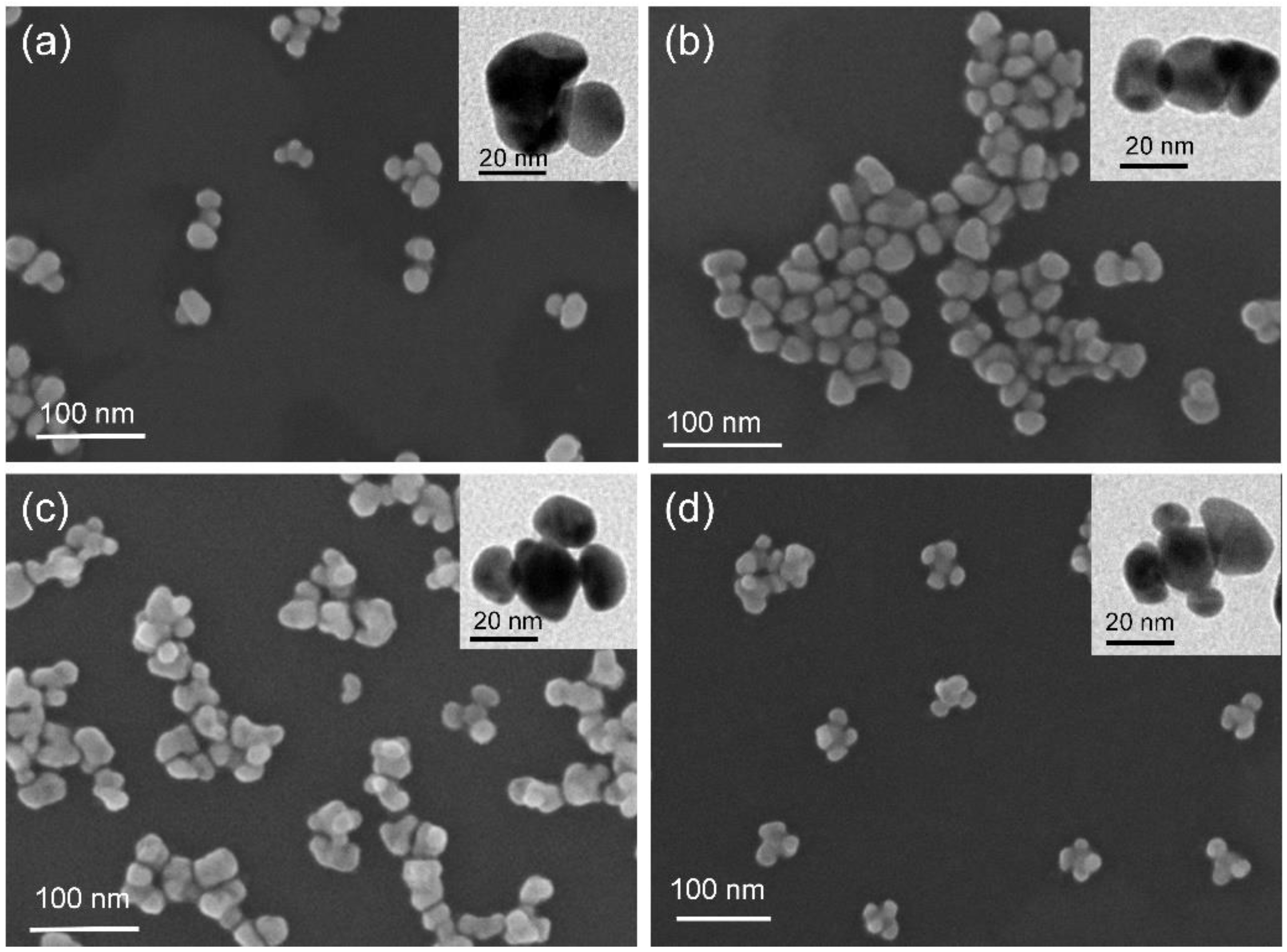 Nanomaterials 11 02176 g001