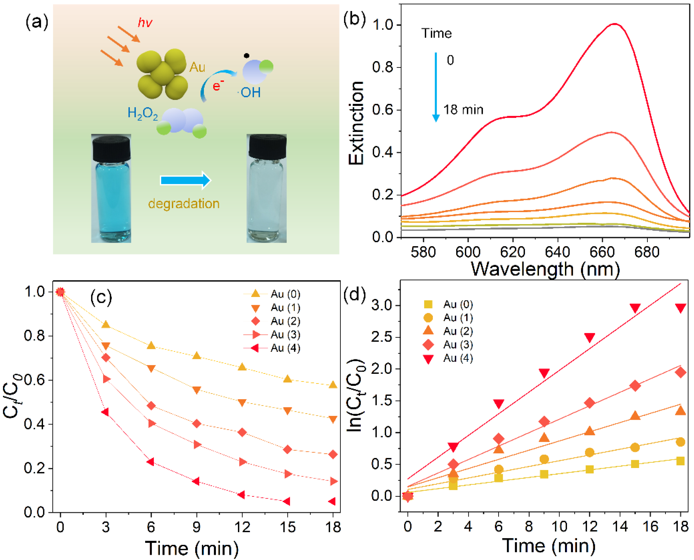 Nanomaterials 11 02176 g005