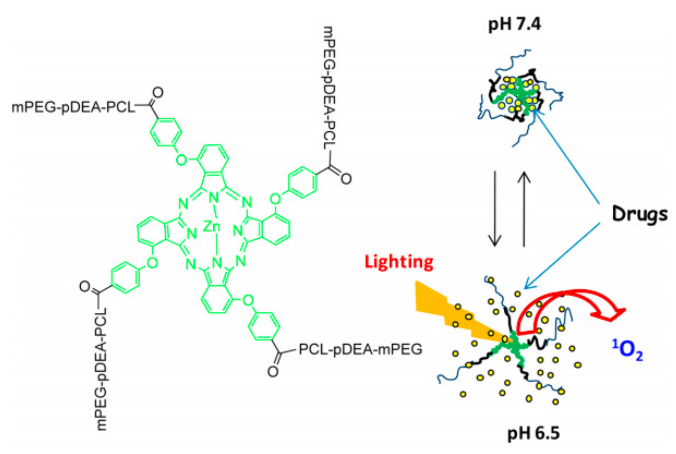 Nanomaterials 11 02426 sch012