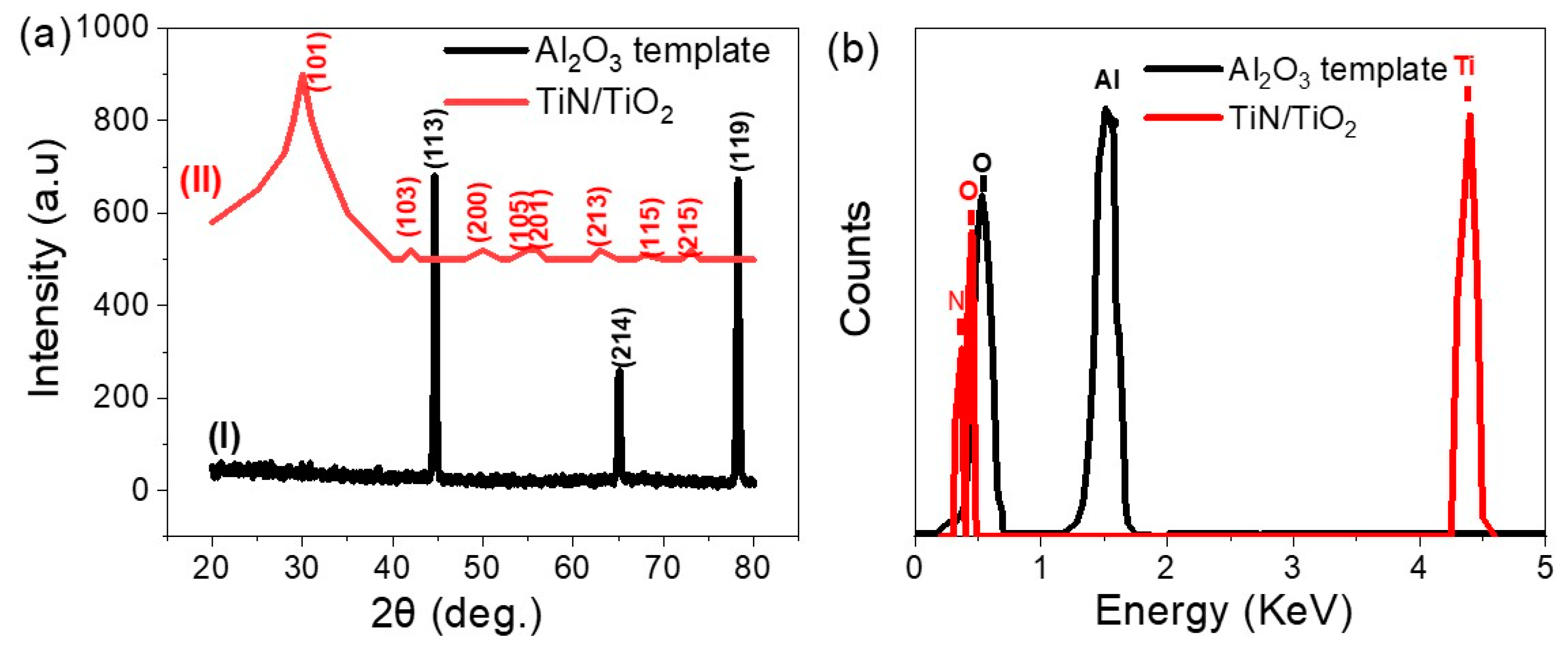 Nanomaterials 11 02617 g002