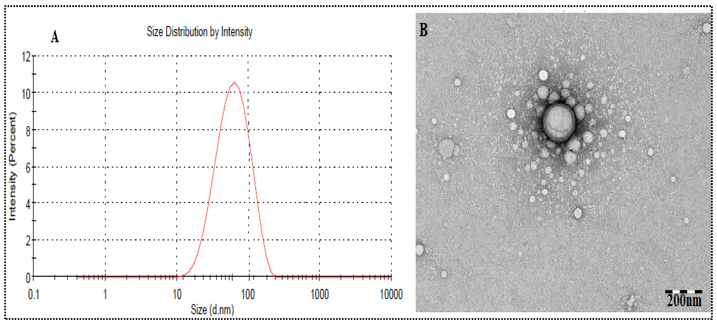 Nanomaterials 11 02920 g003