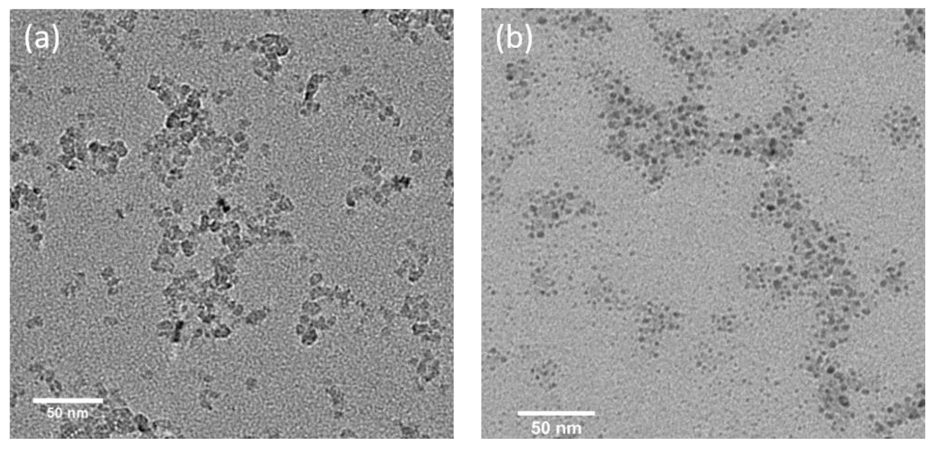 Nanomaterials 11 02936 g001