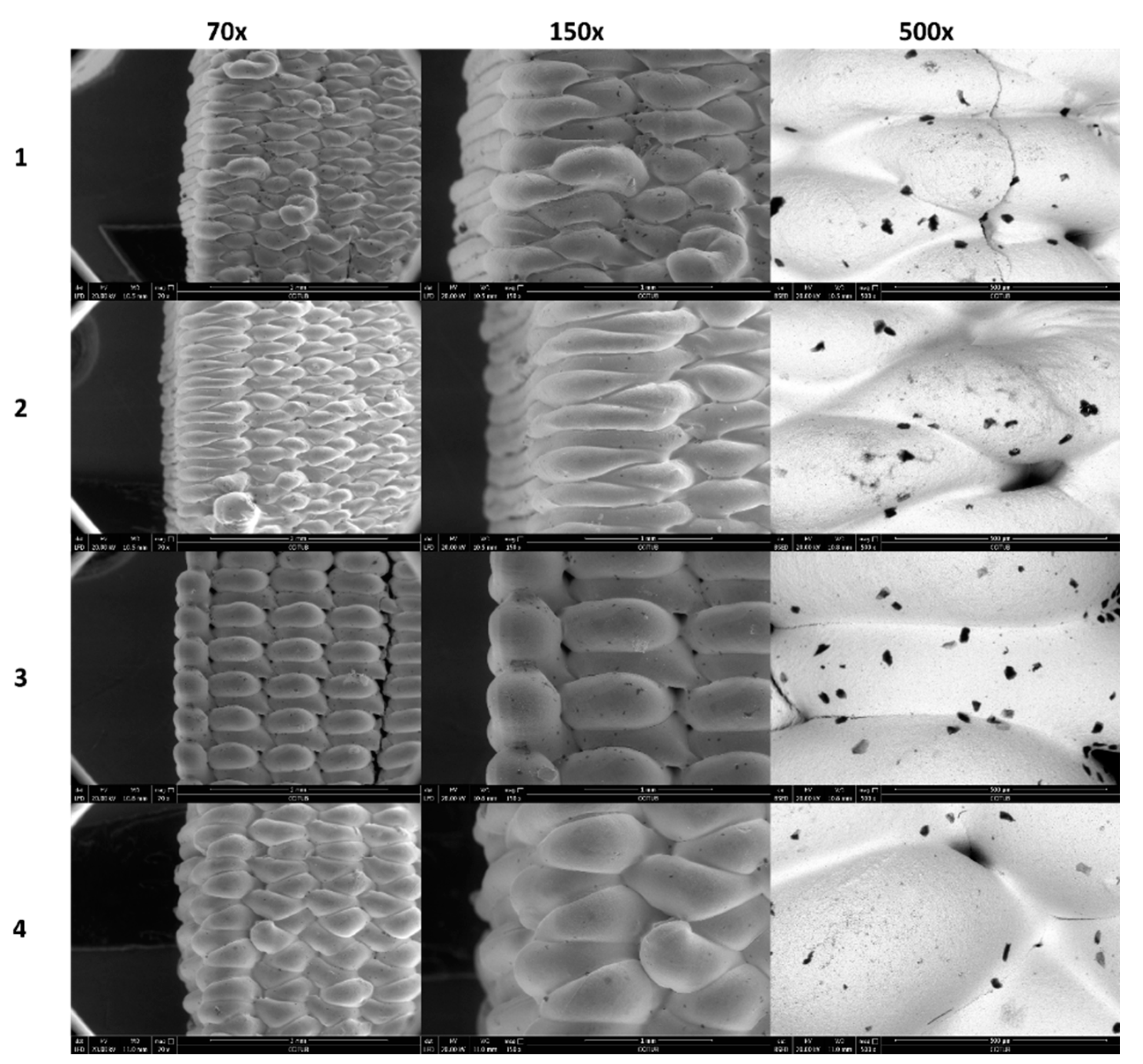 Nanomaterials 11 02942 g006