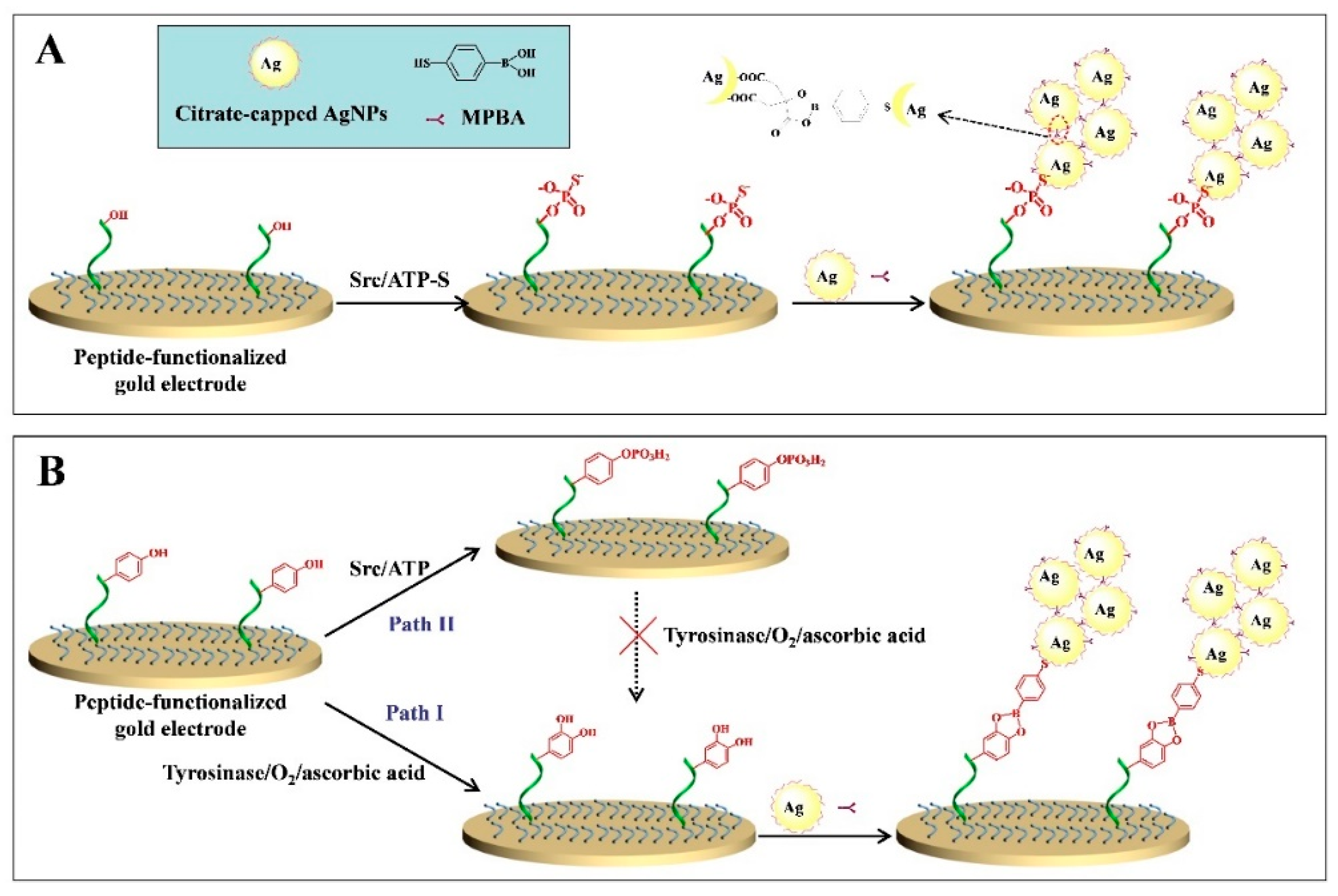 Nanomaterials 11 03307 g006