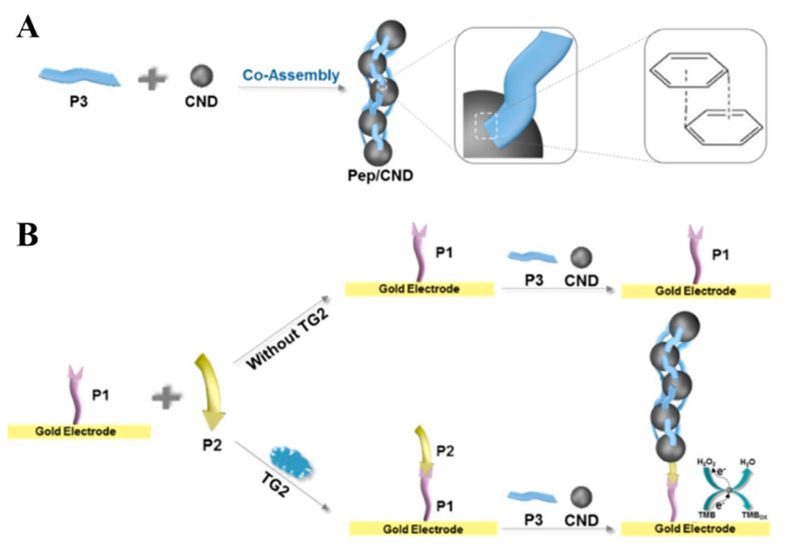 Nanomaterials 11 03307 g009