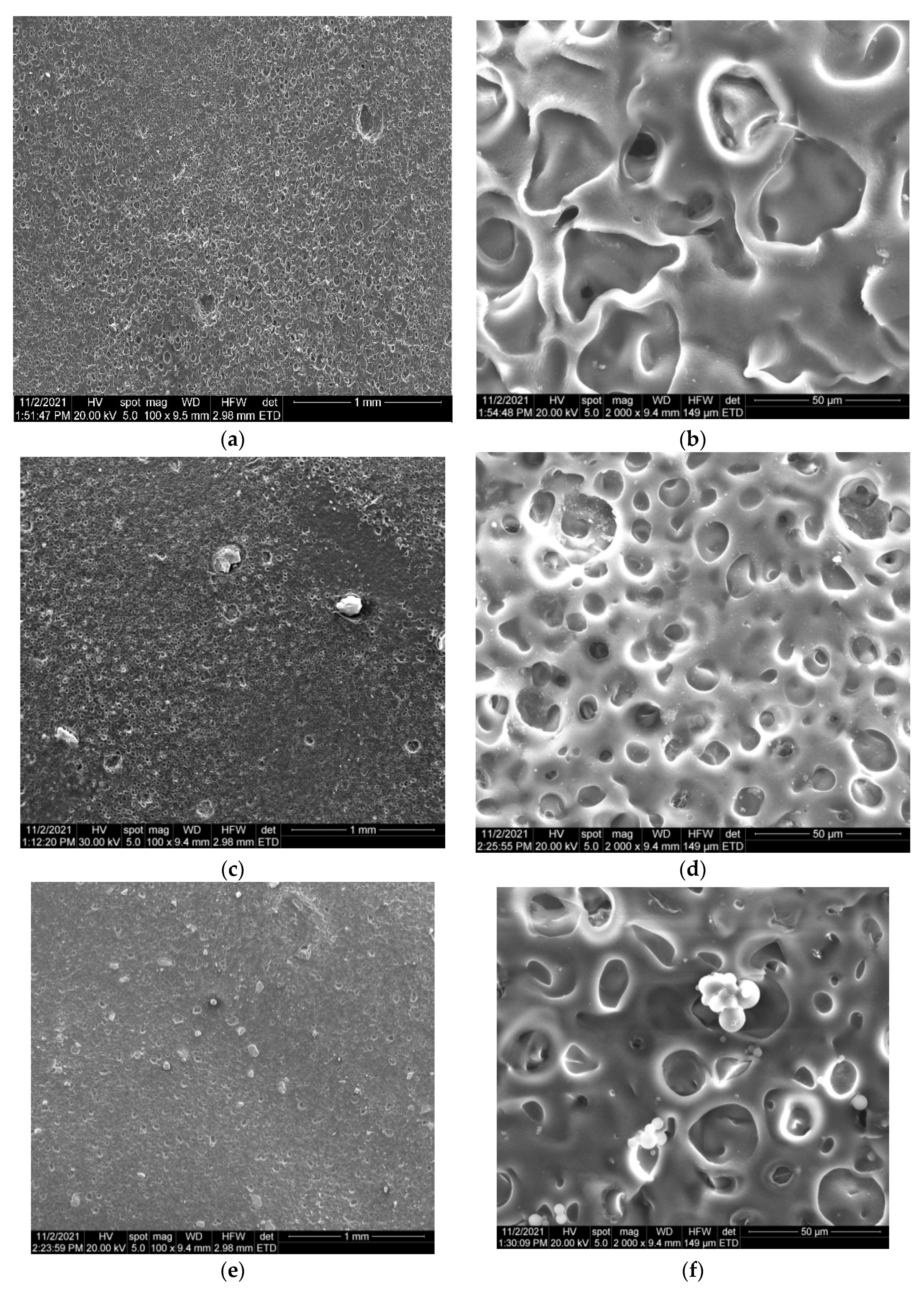 Nanomaterials 12 00239 g006a
