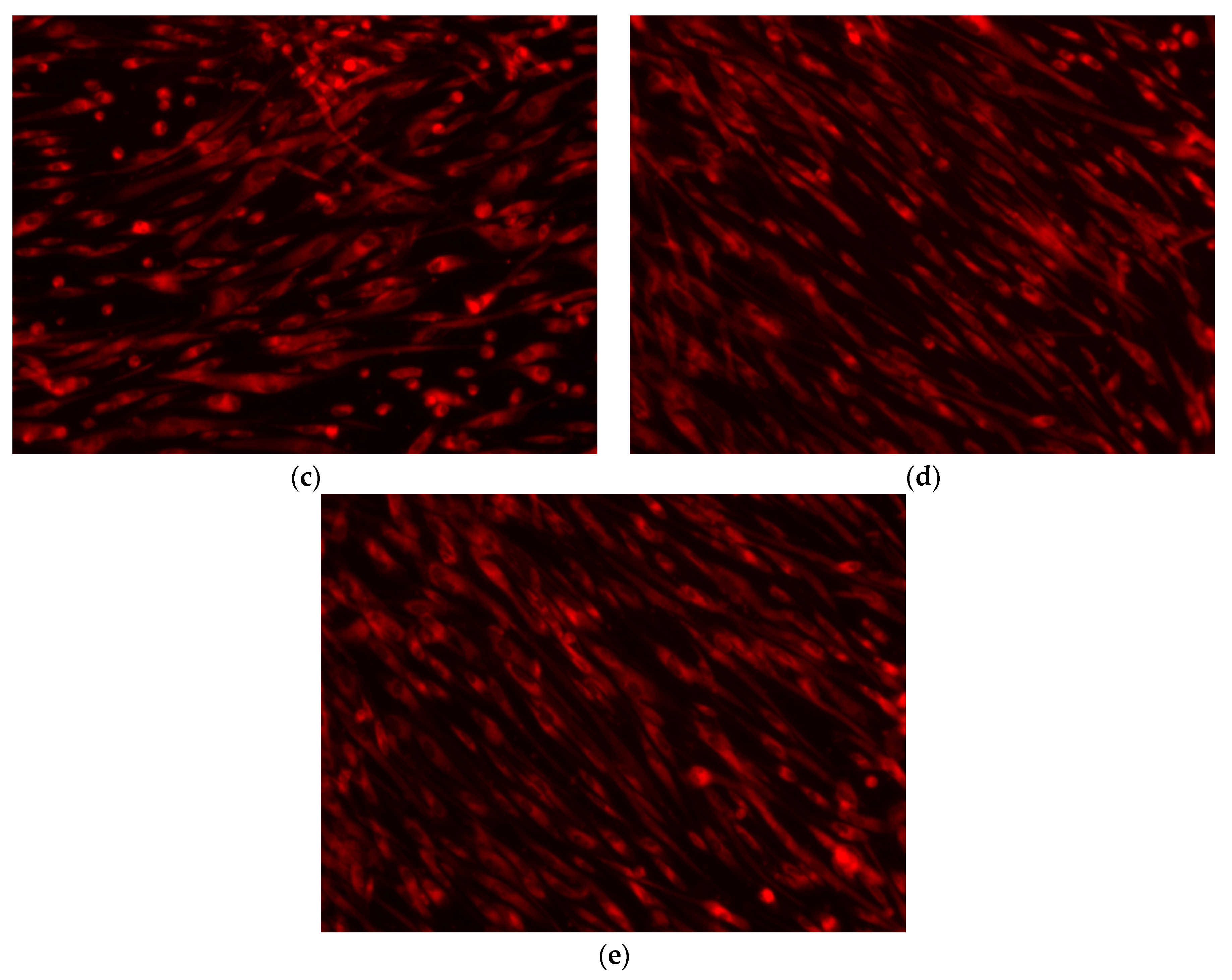 Nanomaterials 12 00239 g013b