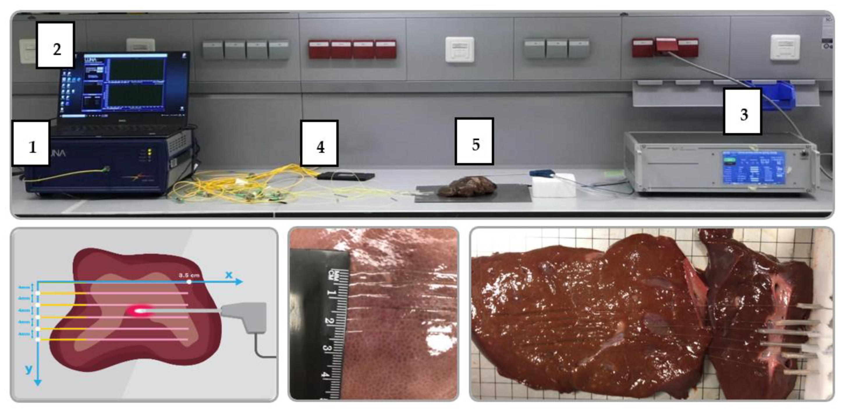Nanomaterials 12 00426 g002