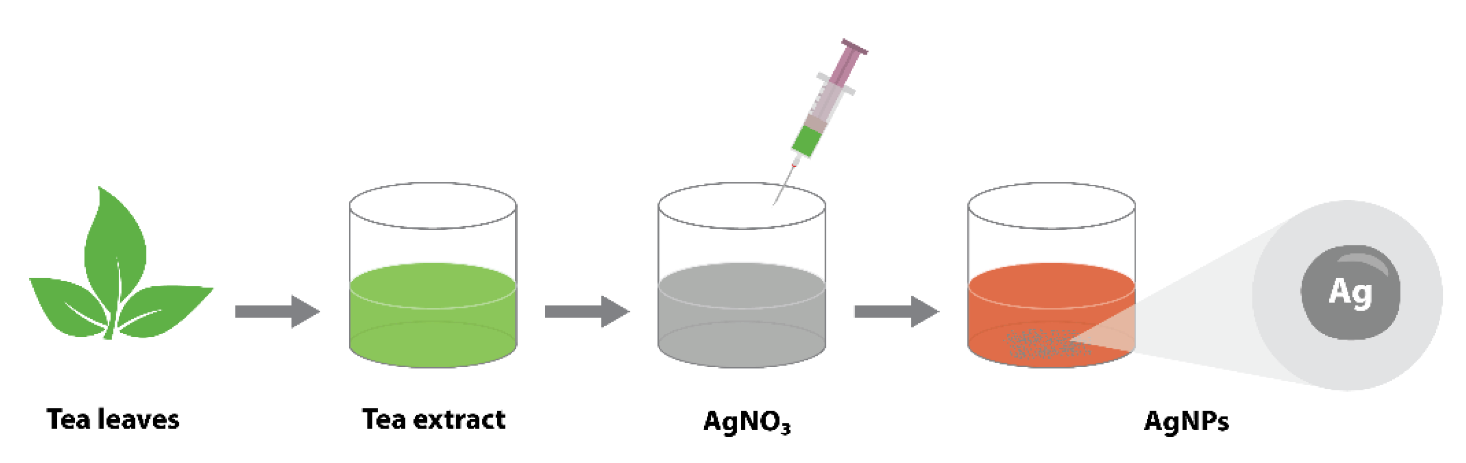 Nanomaterials 12 00426 g005