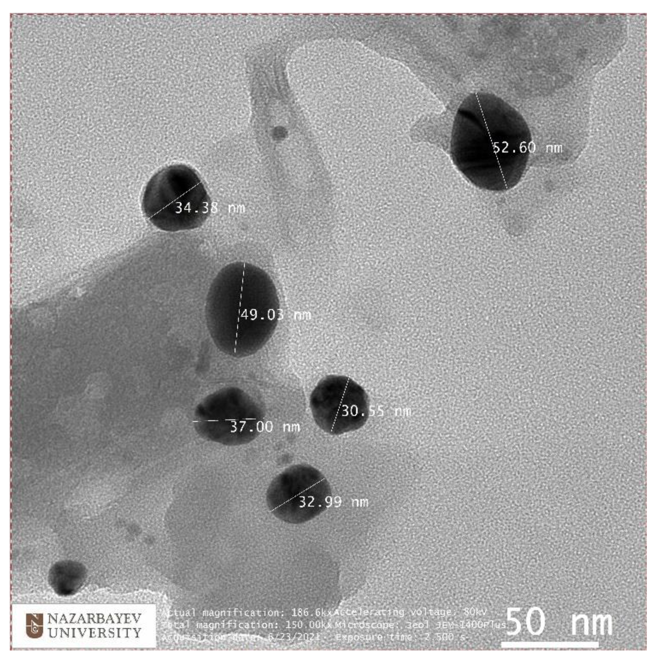 Nanomaterials 12 00426 g006