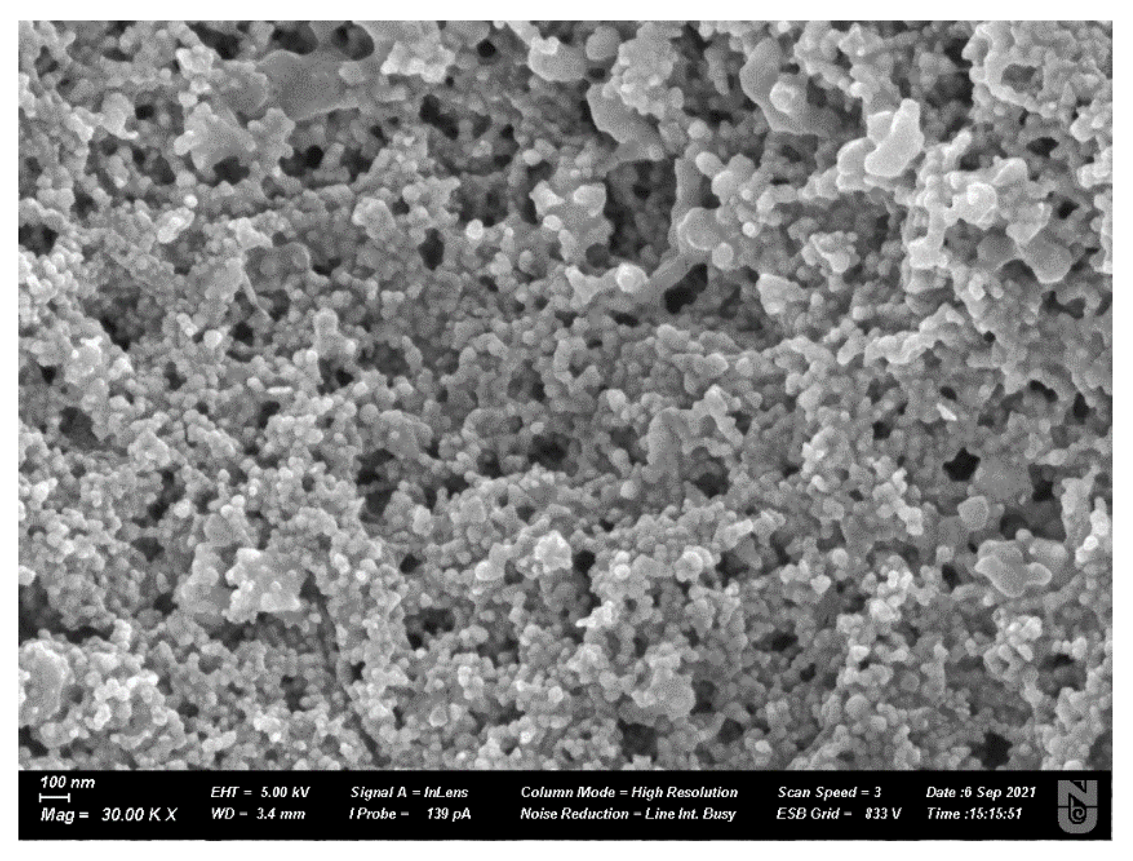 Nanomaterials 12 00426 g007