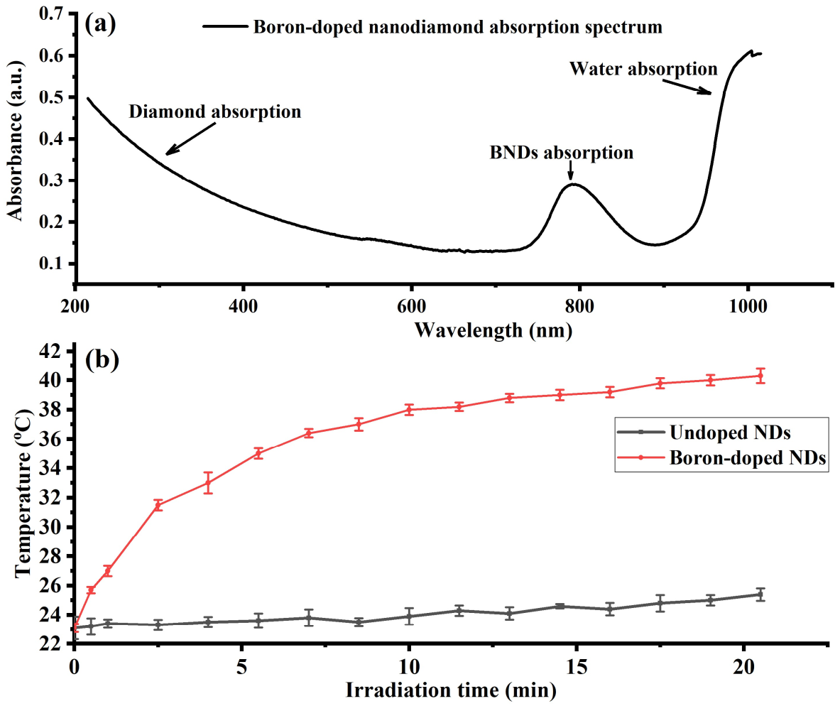 Nanomaterials 12 00601 g001