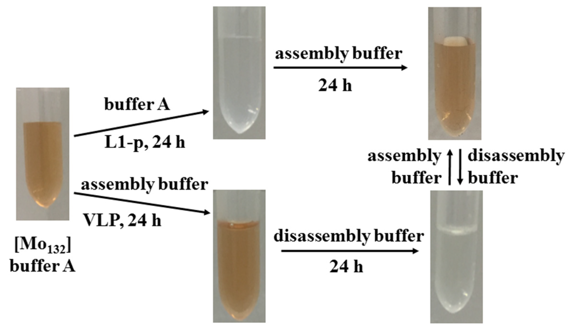 Nanomaterials 12 00736 g003