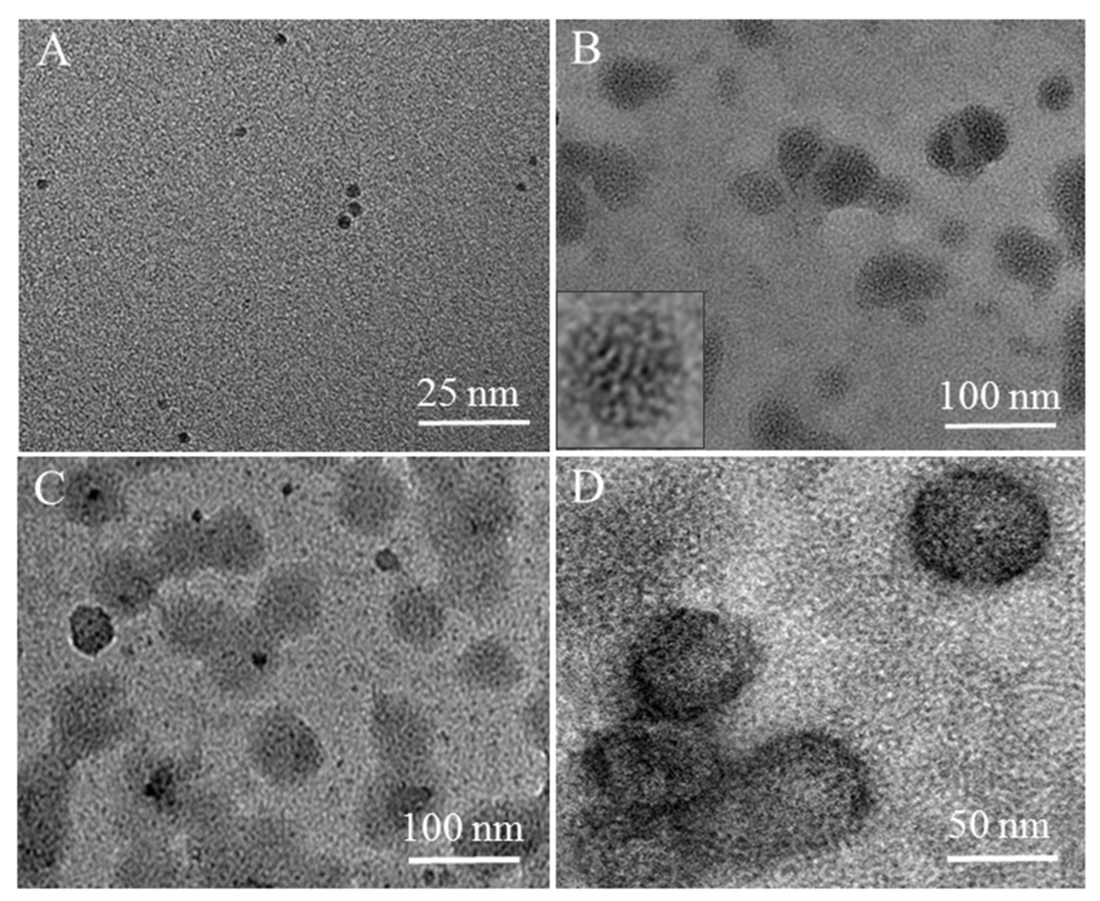 Nanomaterials 12 00736 g005