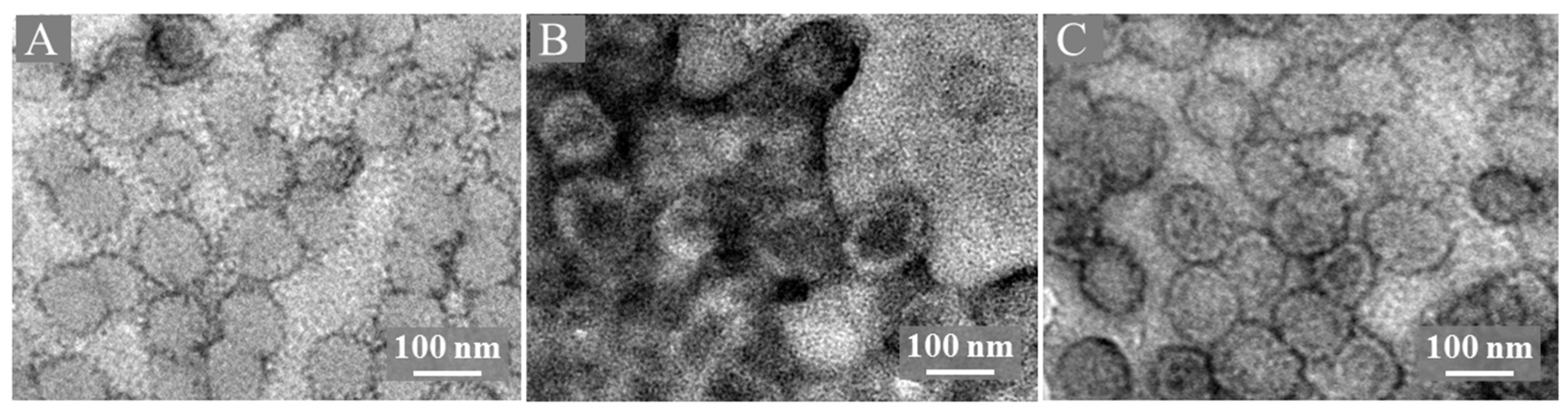 Nanomaterials 12 00736 g006