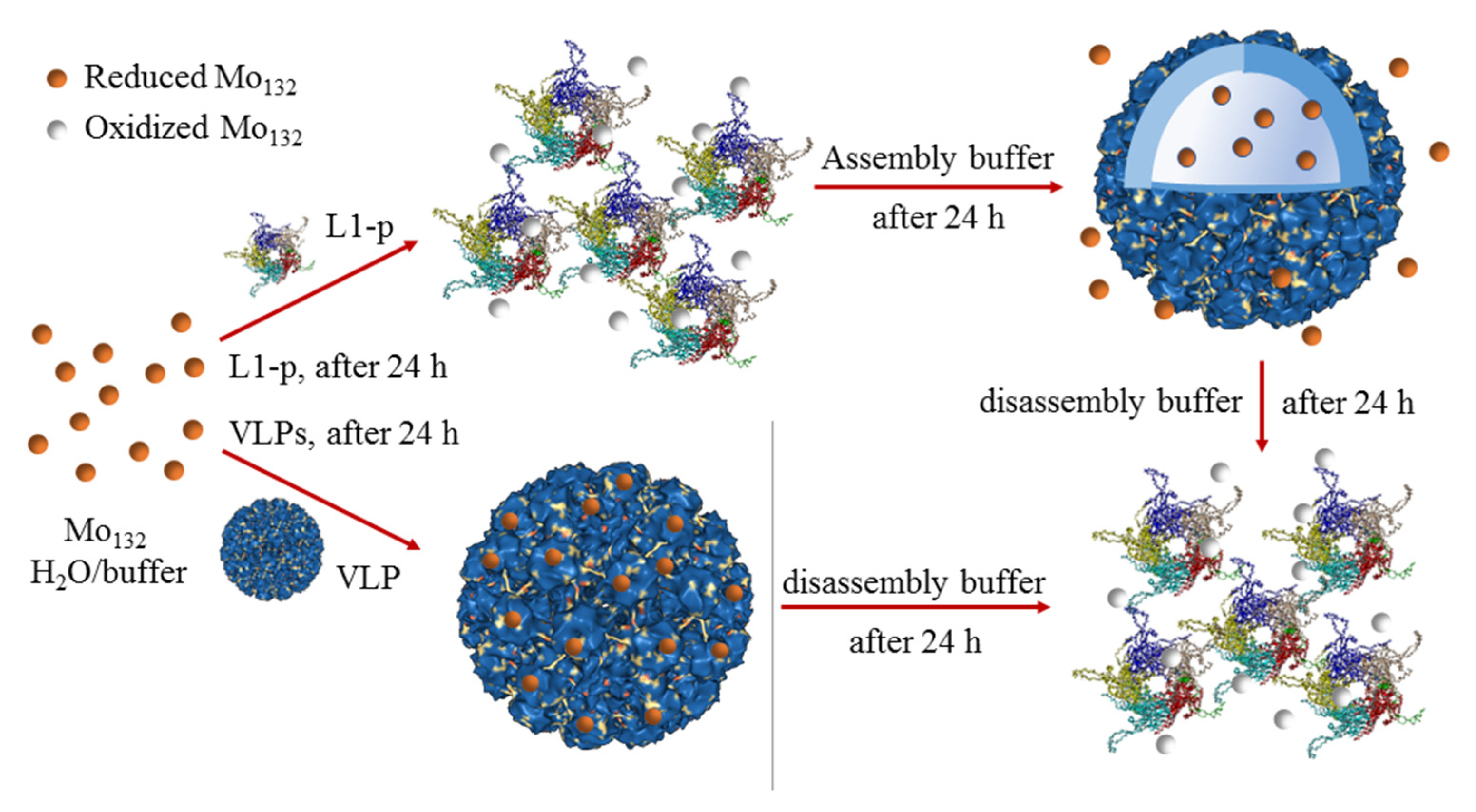 Nanomaterials 12 00736 sch001