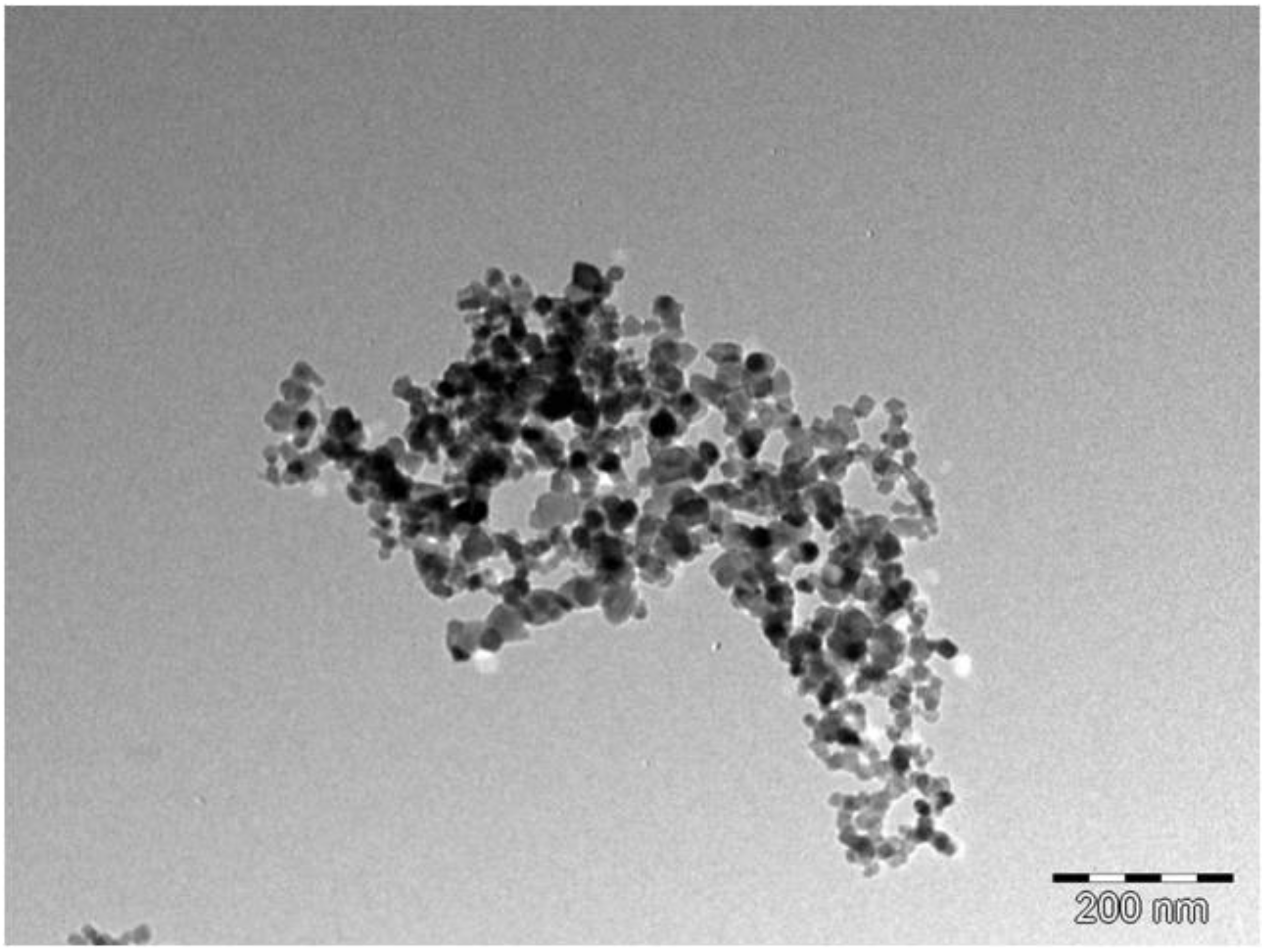 Nanomaterials 12 01715 g006
