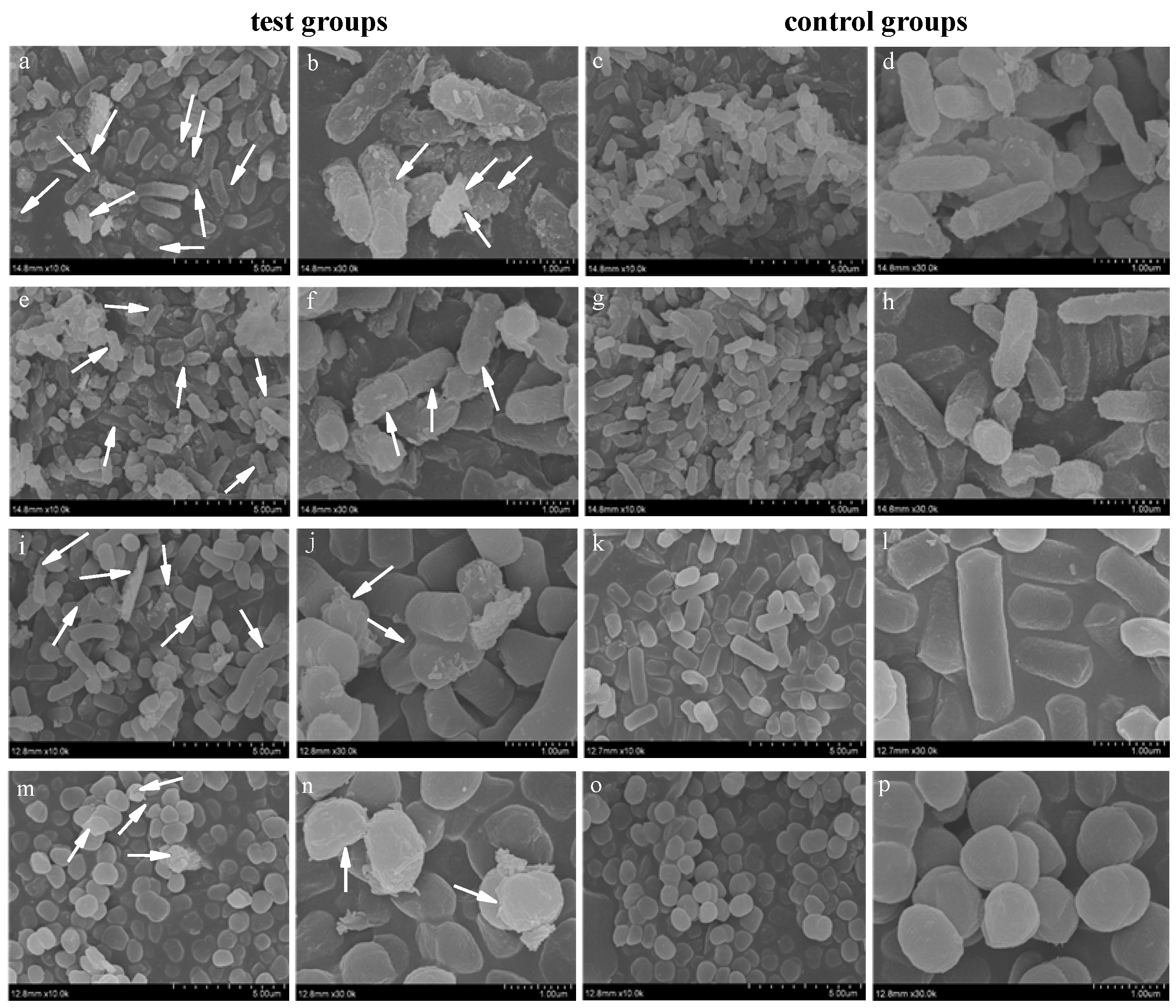 Nanomaterials 12 01904 g011