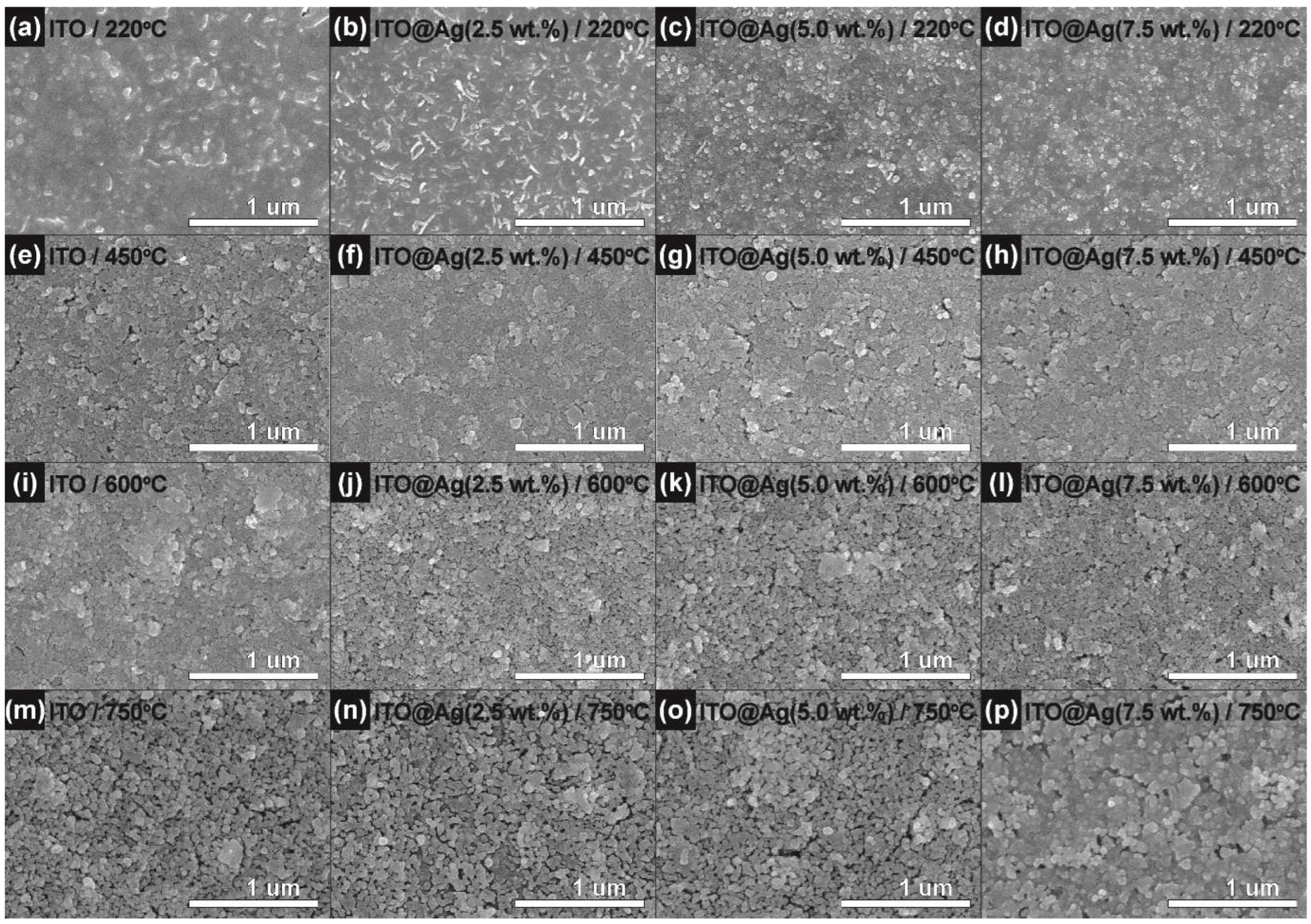 Nanomaterials 12 02060 g003