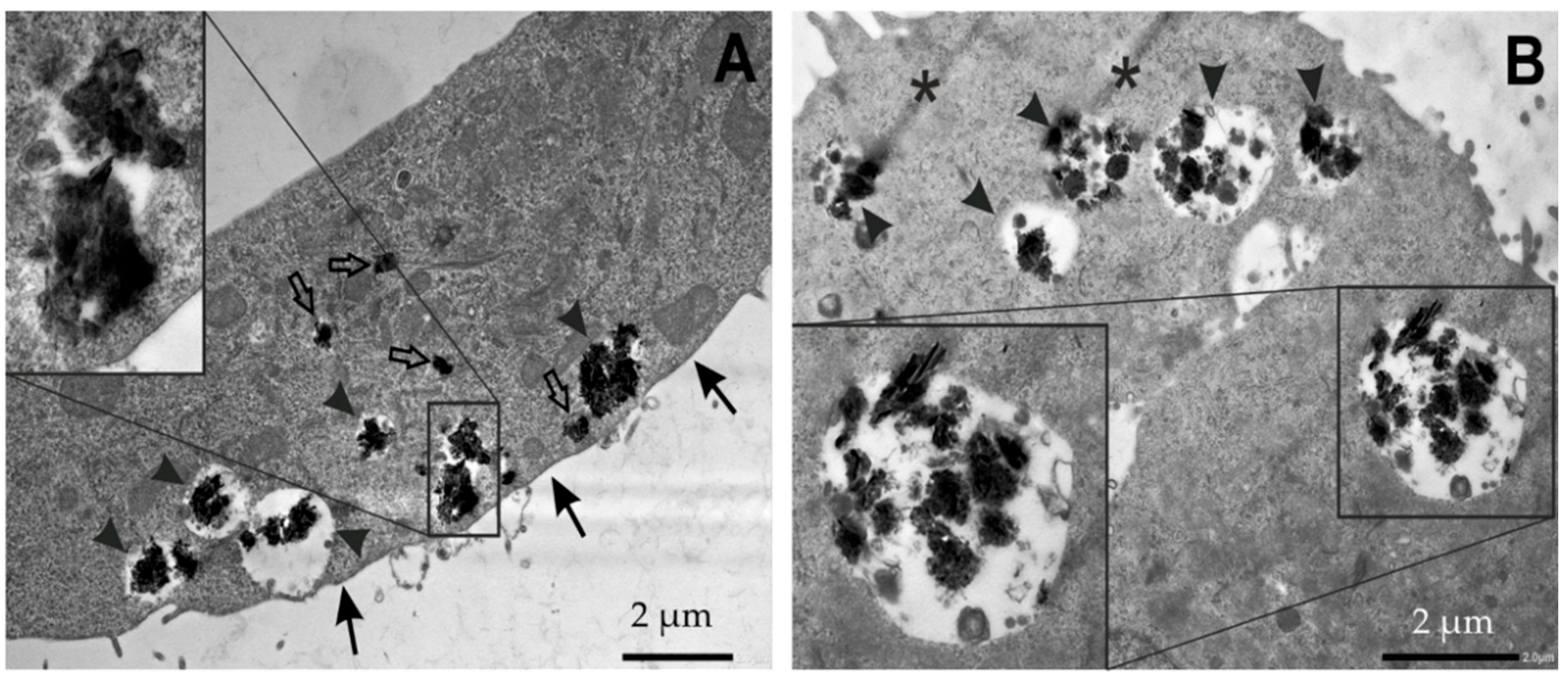 Nanomaterials 12 02074 g006