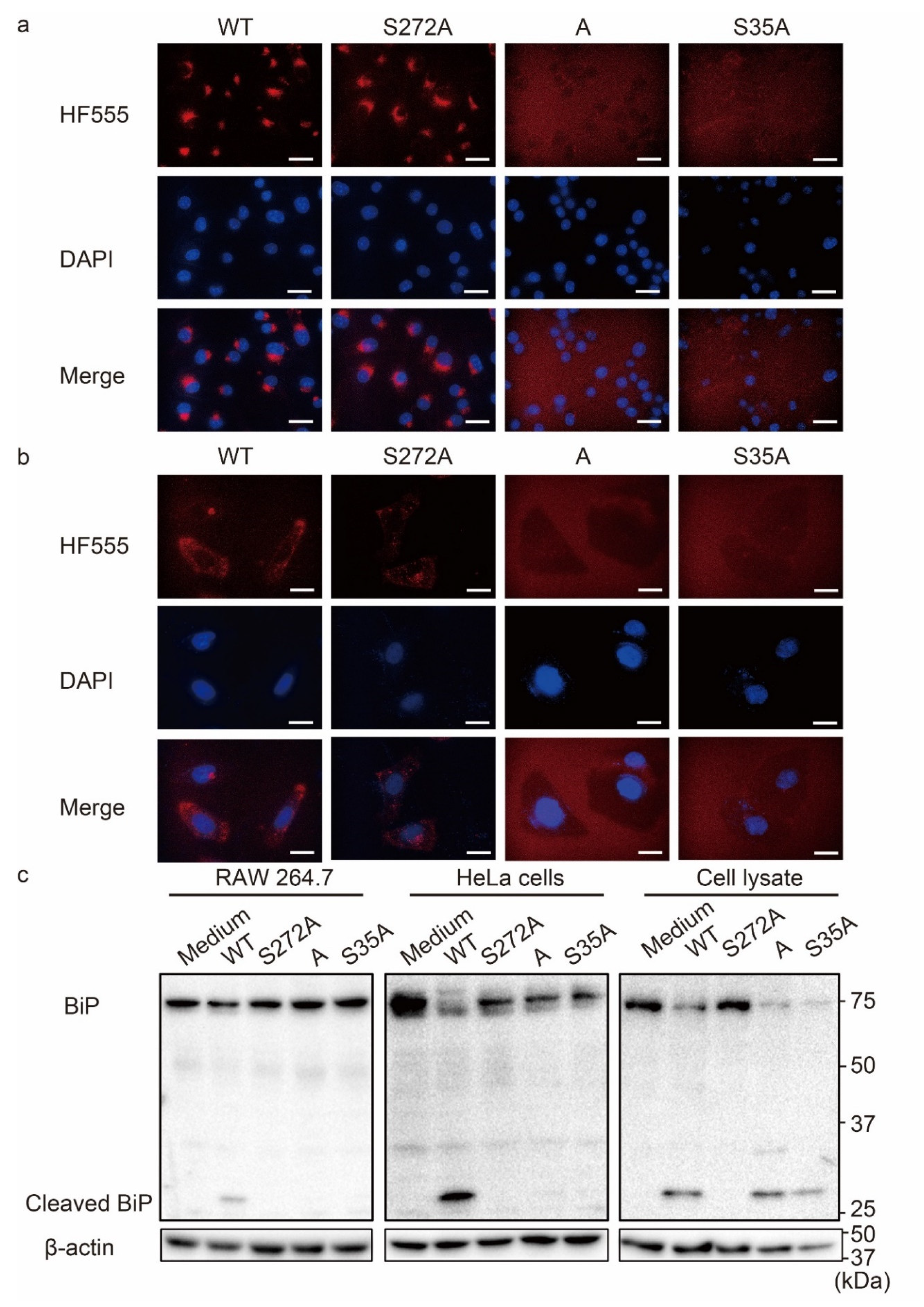 Nanomaterials 12 02161 g001