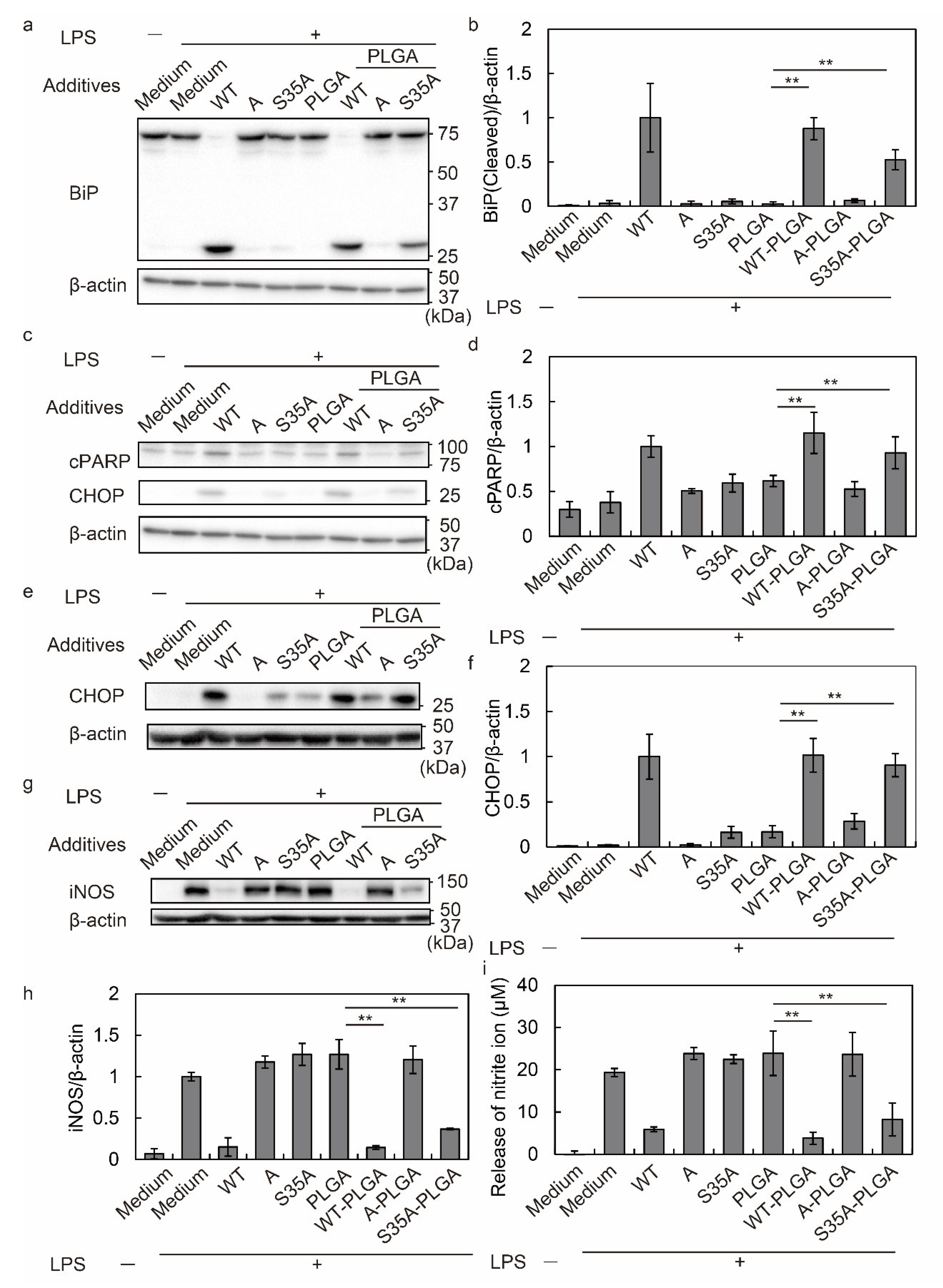 Nanomaterials 12 02161 g003