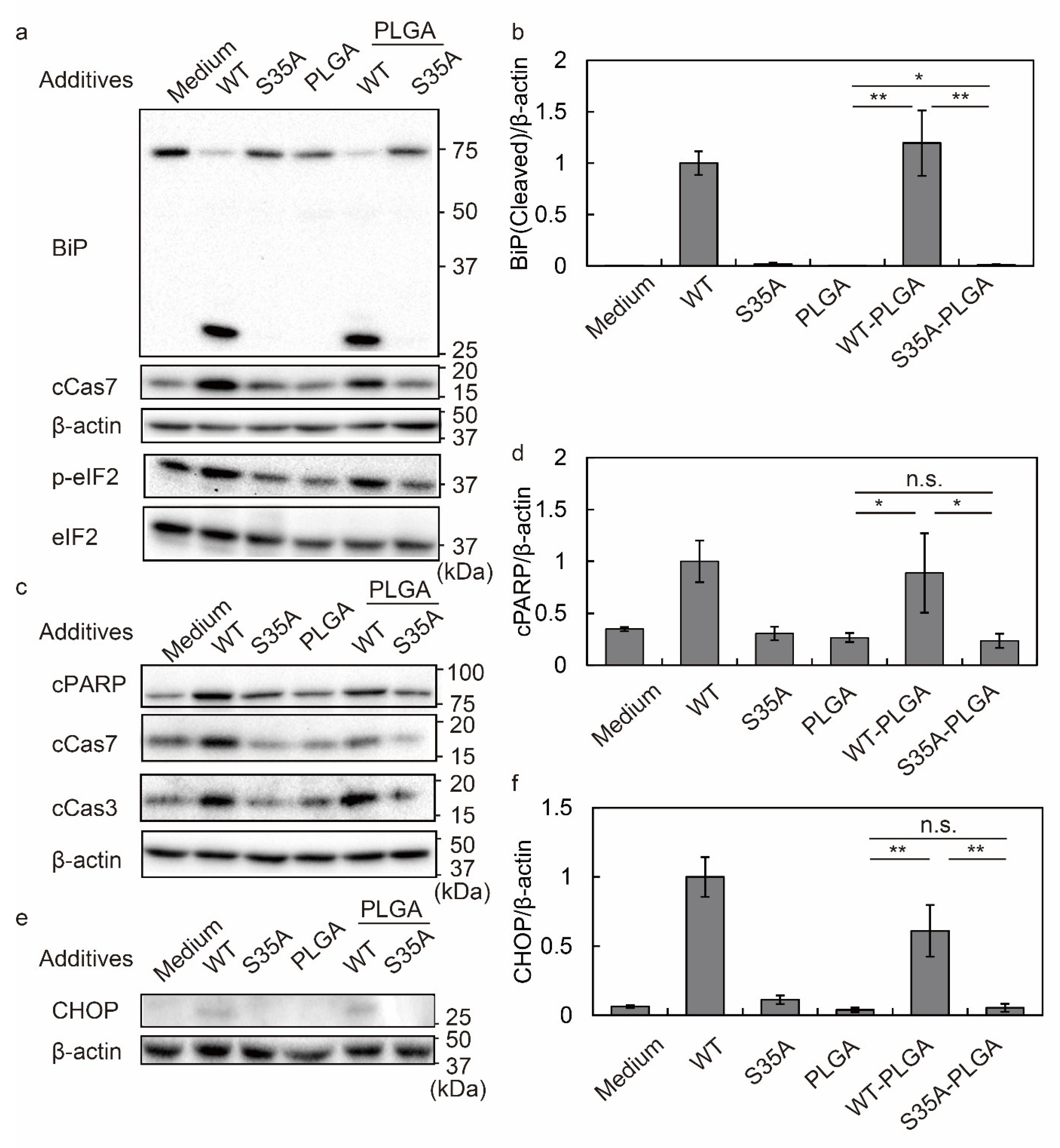 Nanomaterials 12 02161 g004