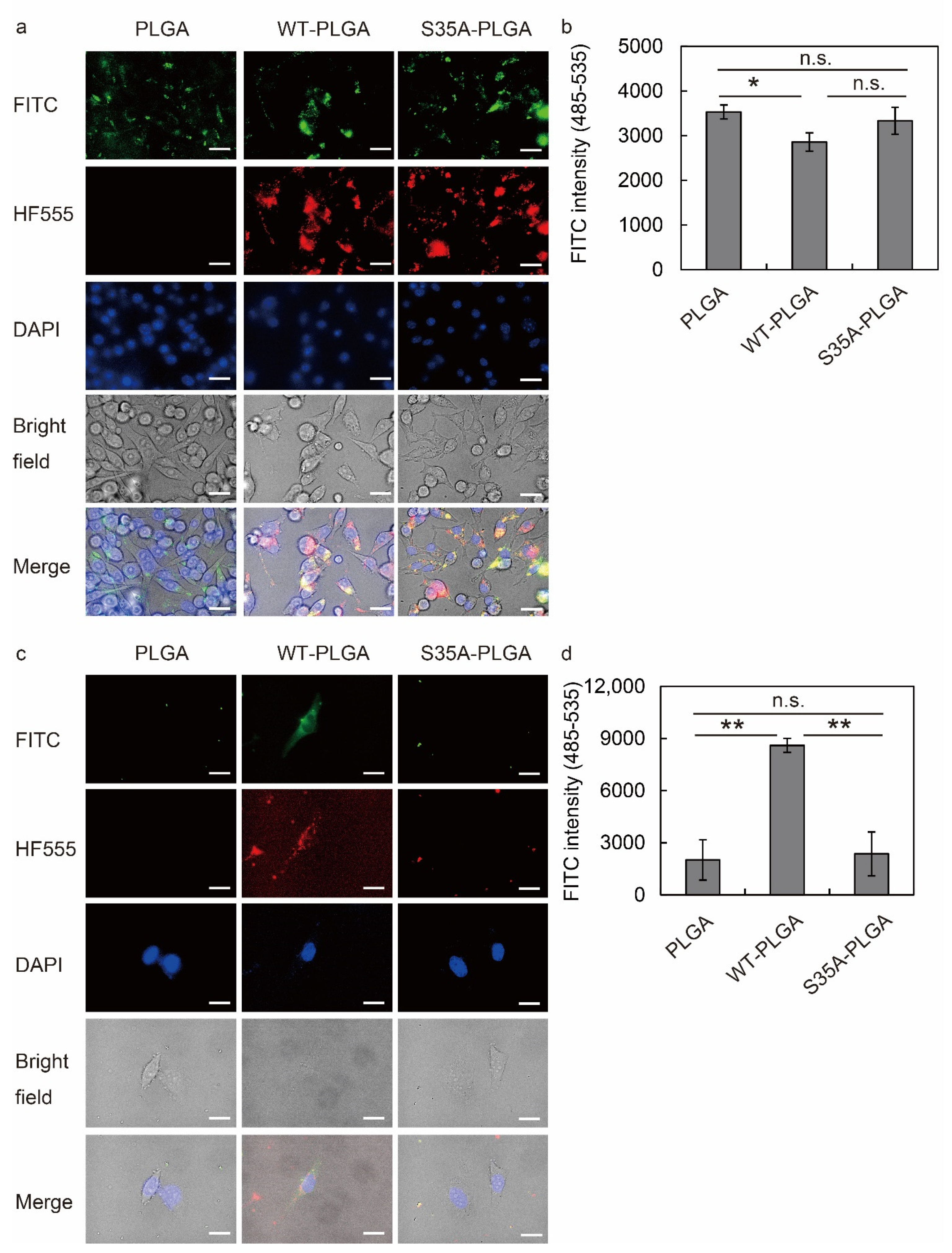 Nanomaterials 12 02161 g005